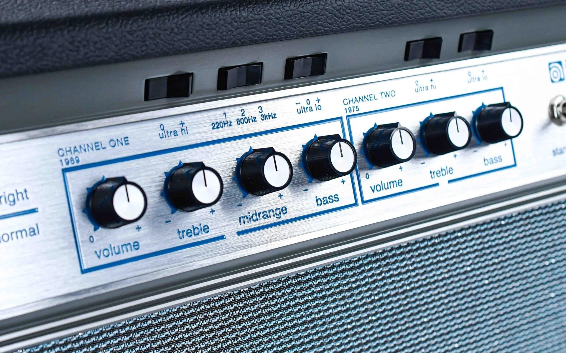 Ampeg Heritage 50th Anniversary SVT - Image 5