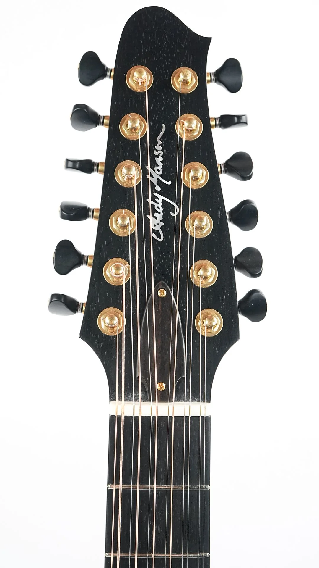 Andy Manson 12 String Madagascar Rosewood Alpine Spruce - Image 2
