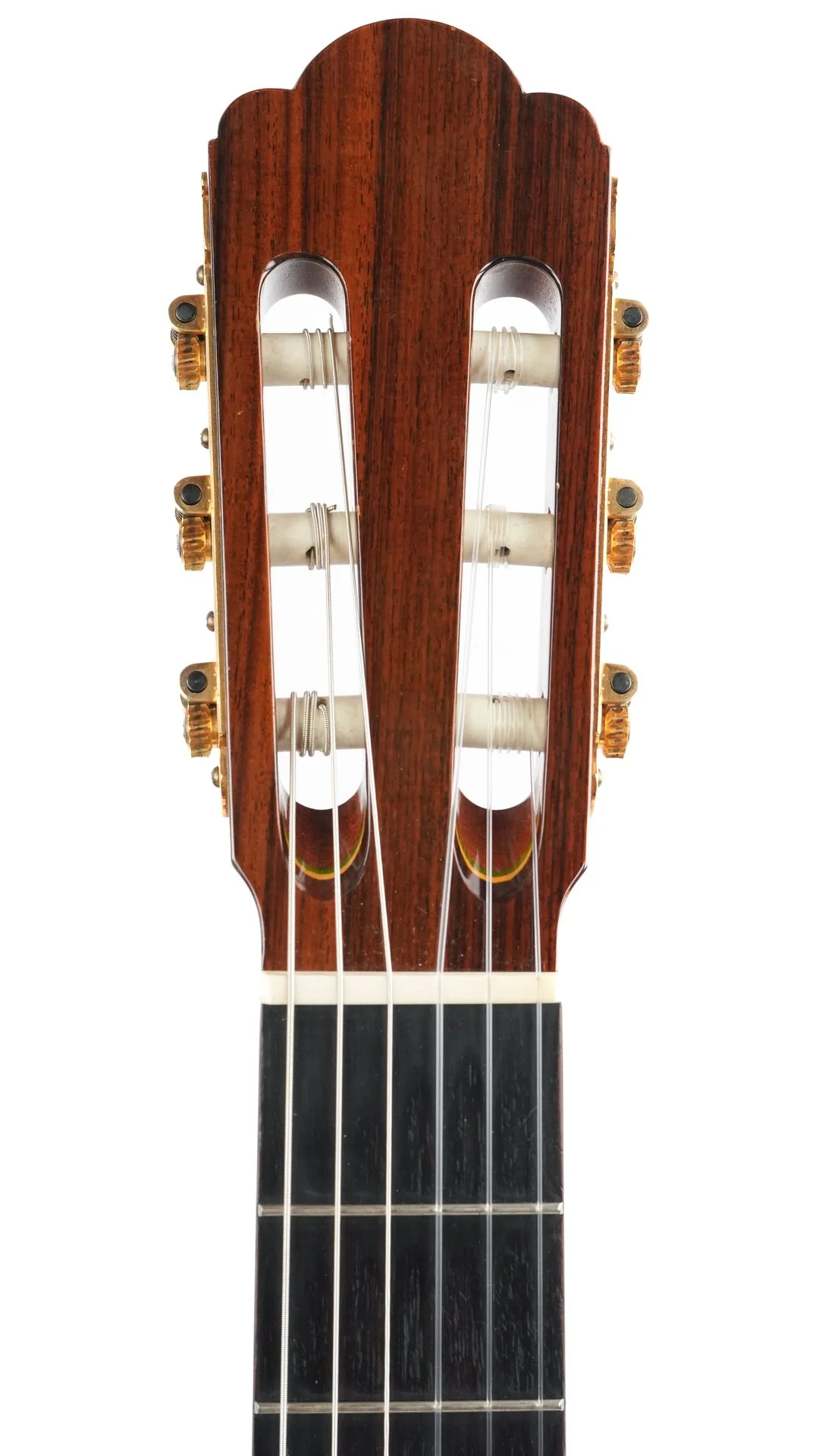 Asturias Standard Concert Cedar Rosewood 1991 - Image 2