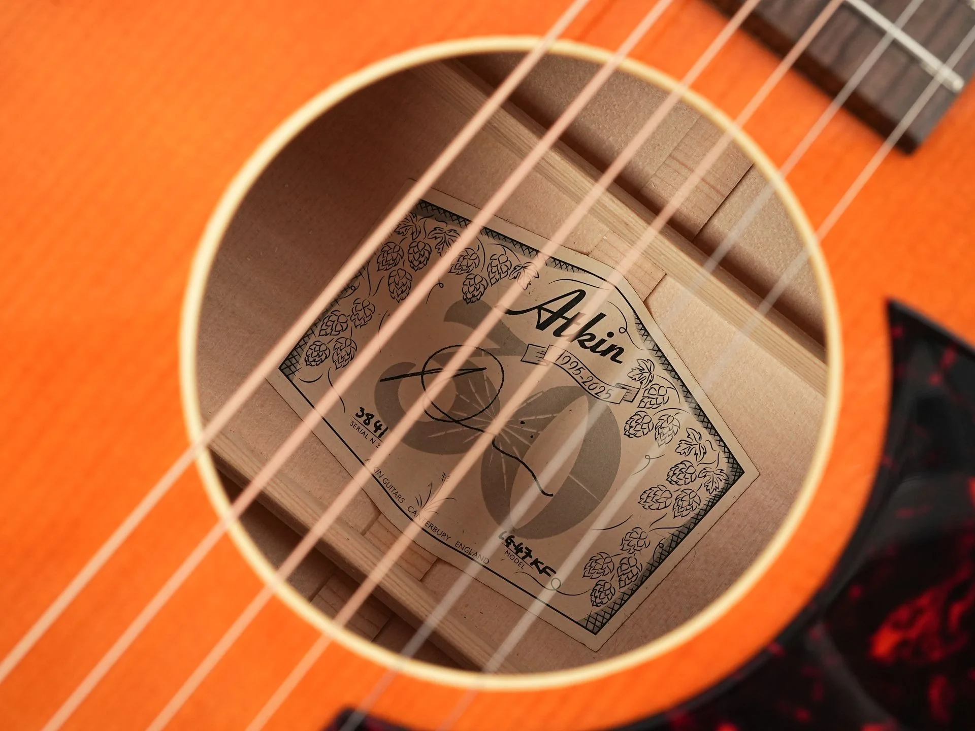 Atkin LG47 Kingfisher TFOA LTD - Image 12