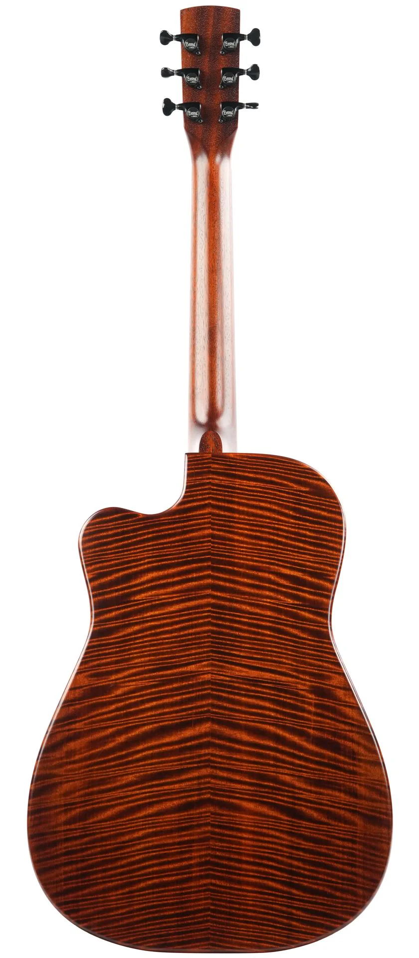 Beard Trailhead E RN Curly Maple 2024 - Image 4