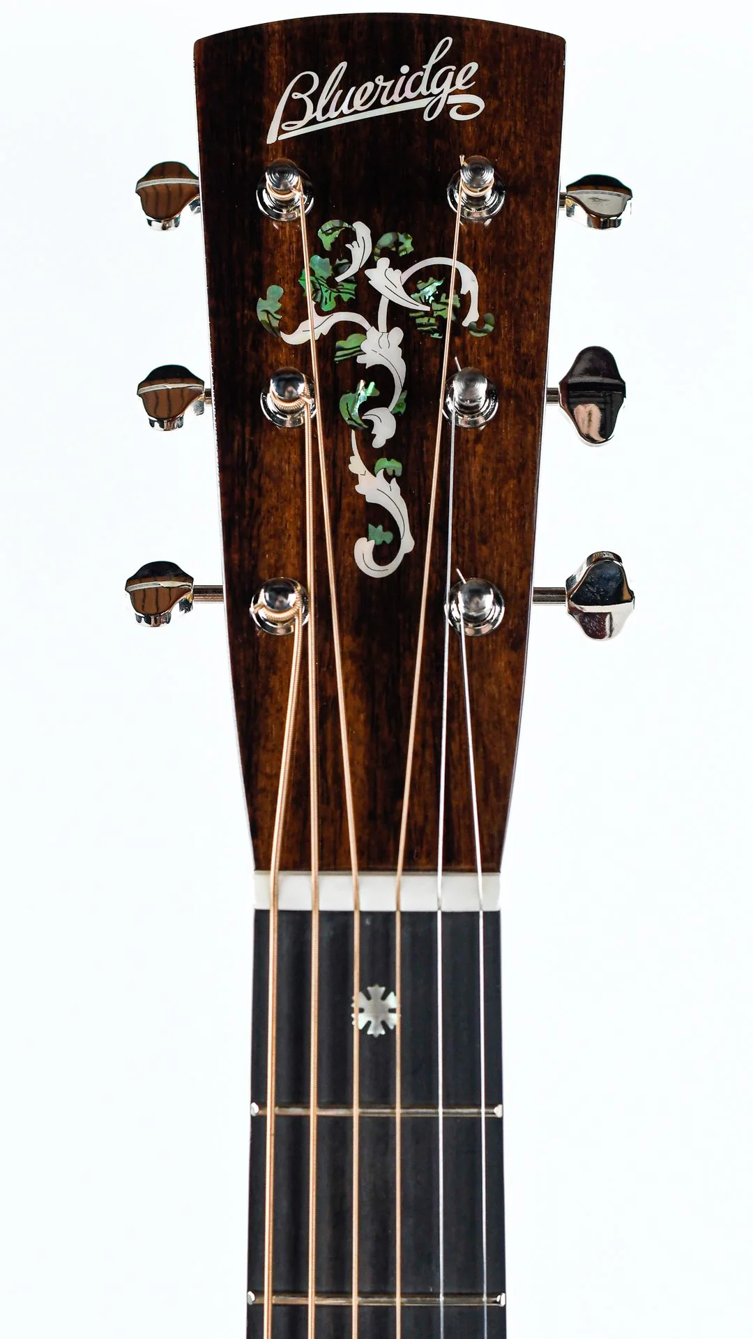 Blueridge BR-260 - Image 2