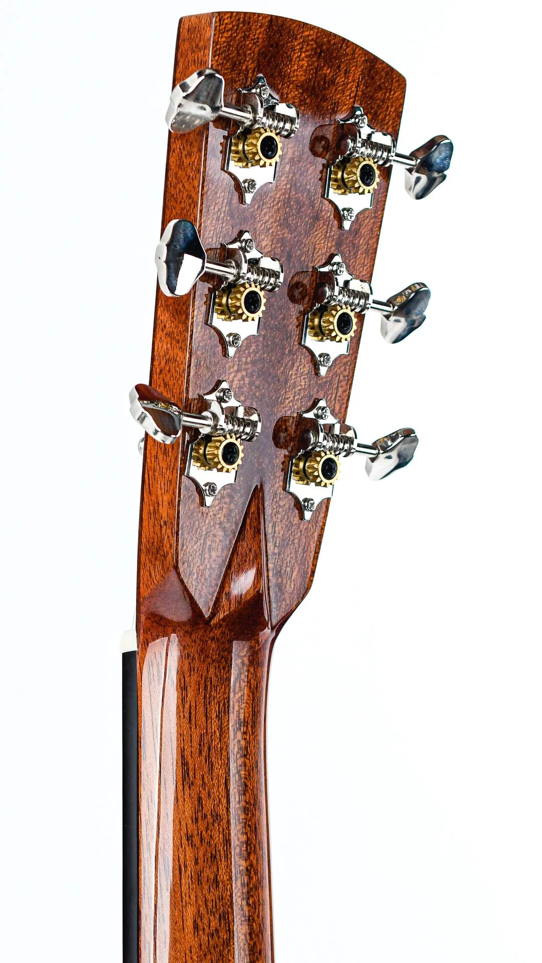 Blueridge BR-260 - Image 6