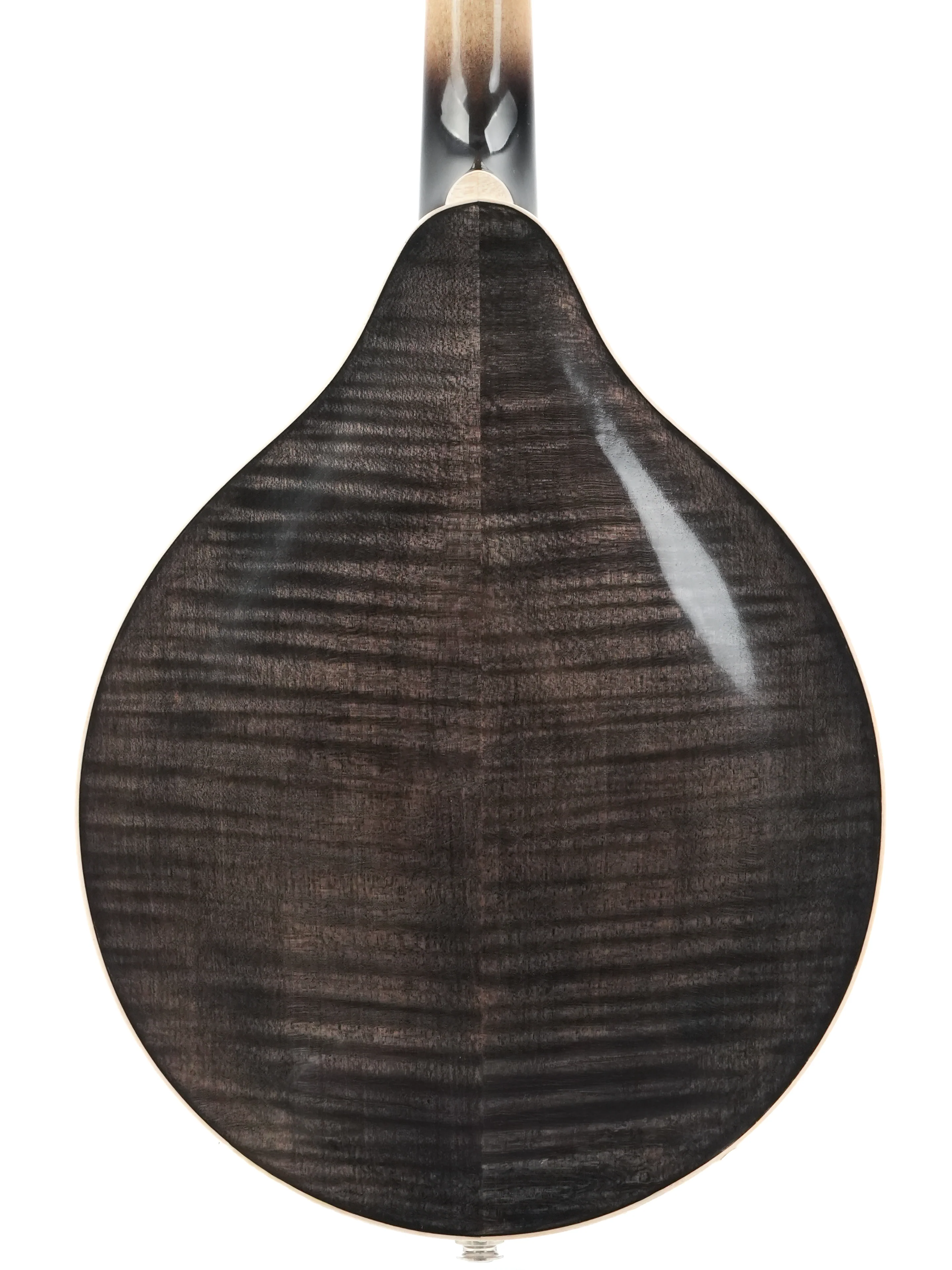 Bottone Smokey M A Style Mandolin 2025 - Image 8