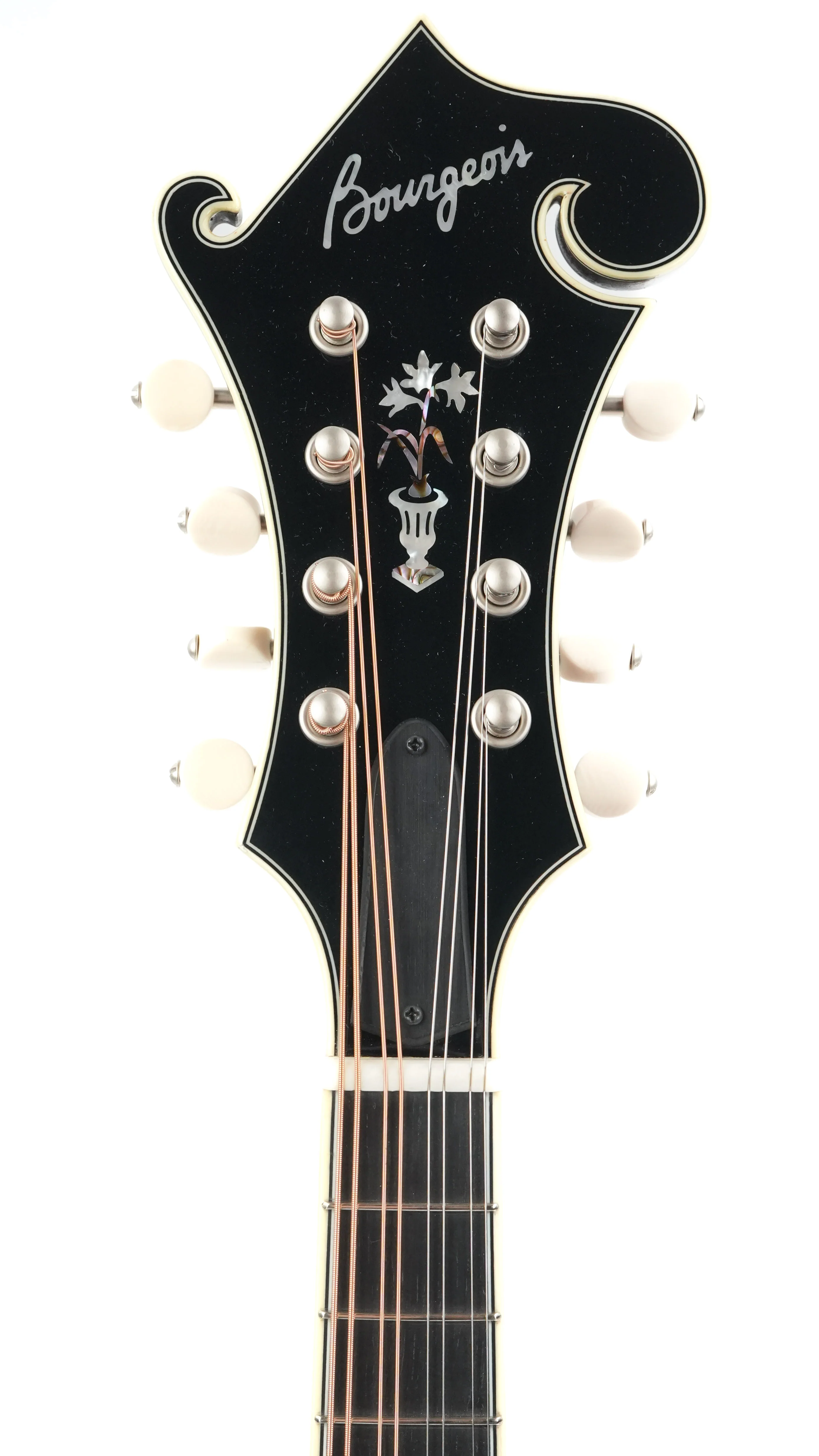 Bourgeois M5F F Style Cordovan Red Ltd. - Image 2