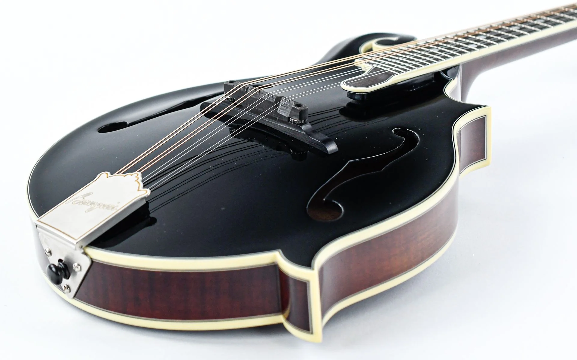 Bourgeois M5F Aged Tone Blacktop - Image 11