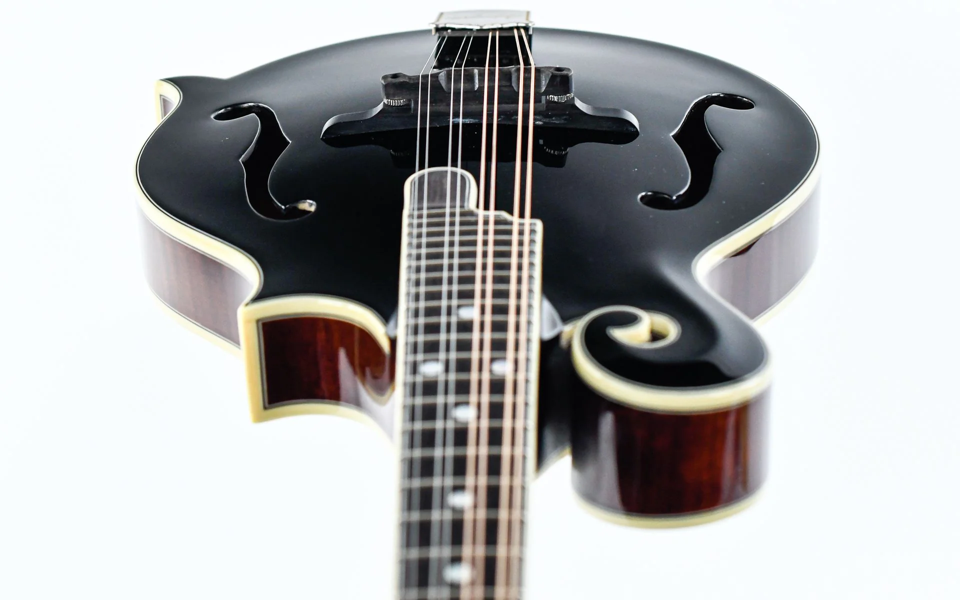 Bourgeois M5F Aged Tone Blacktop - Image 14