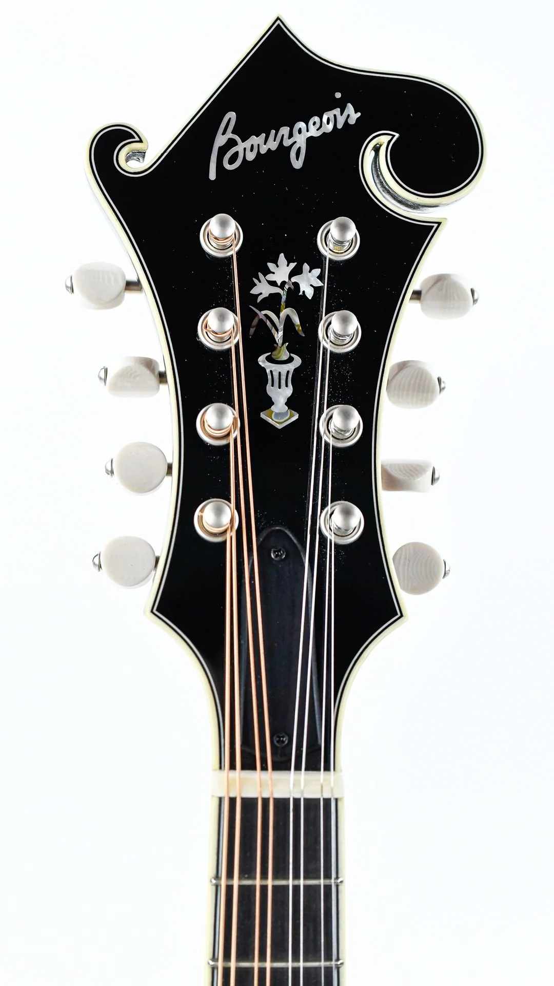Bourgeois M5F Aged Tone Blacktop - Image 2