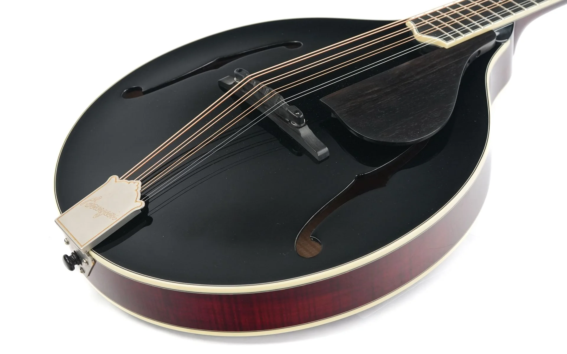 Bourgeois M5O Black Top Octave Mandolin - Image 10
