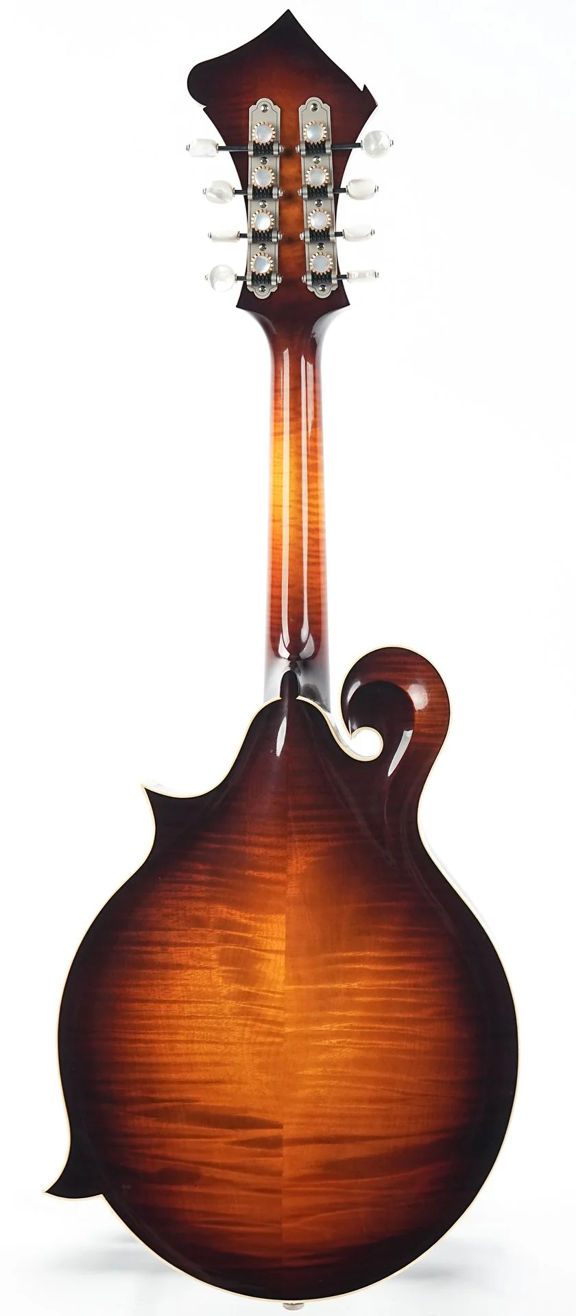 Bulas F-Style Persephone - Image 4