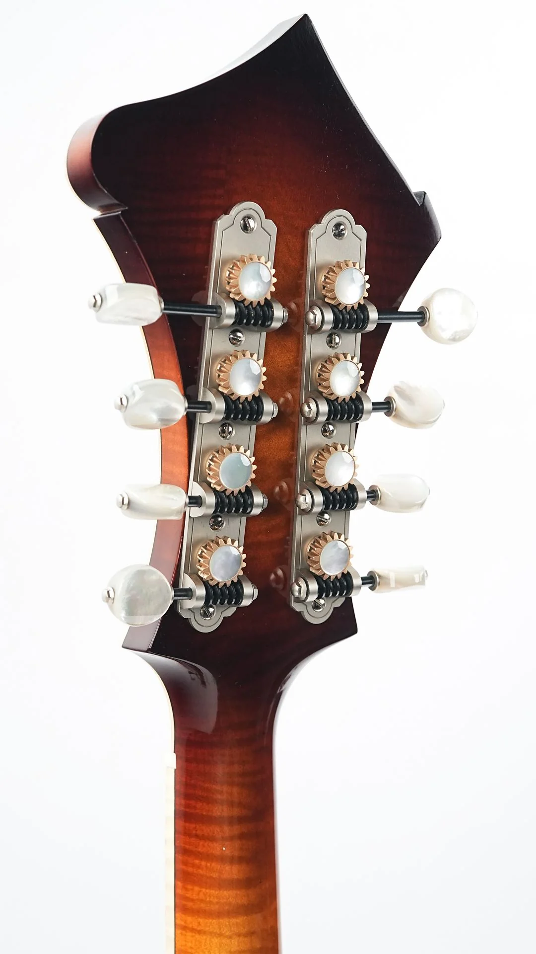 Bulas F-Style Persephone - Image 6