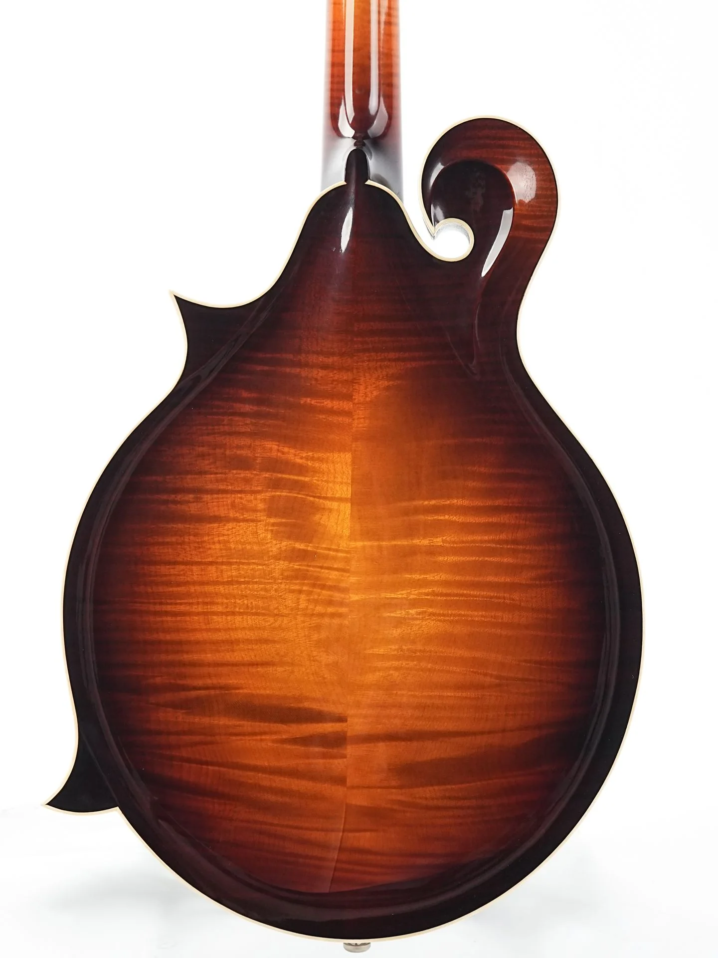 Bulas F-Style Persephone - Image 8