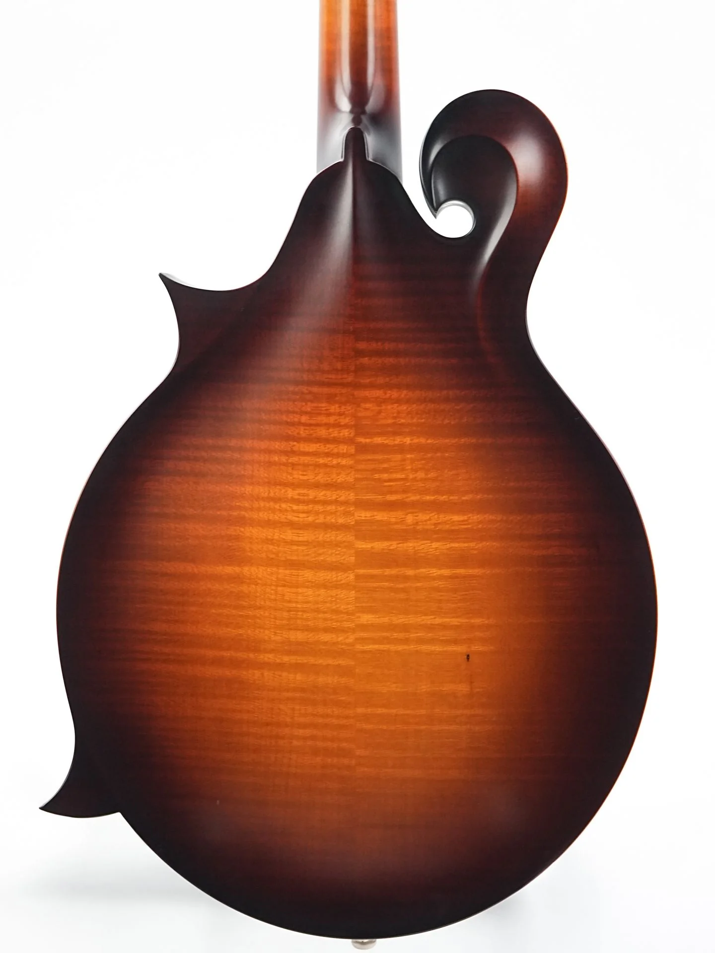 Bulas F-Style Standard Mandolin - Image 8