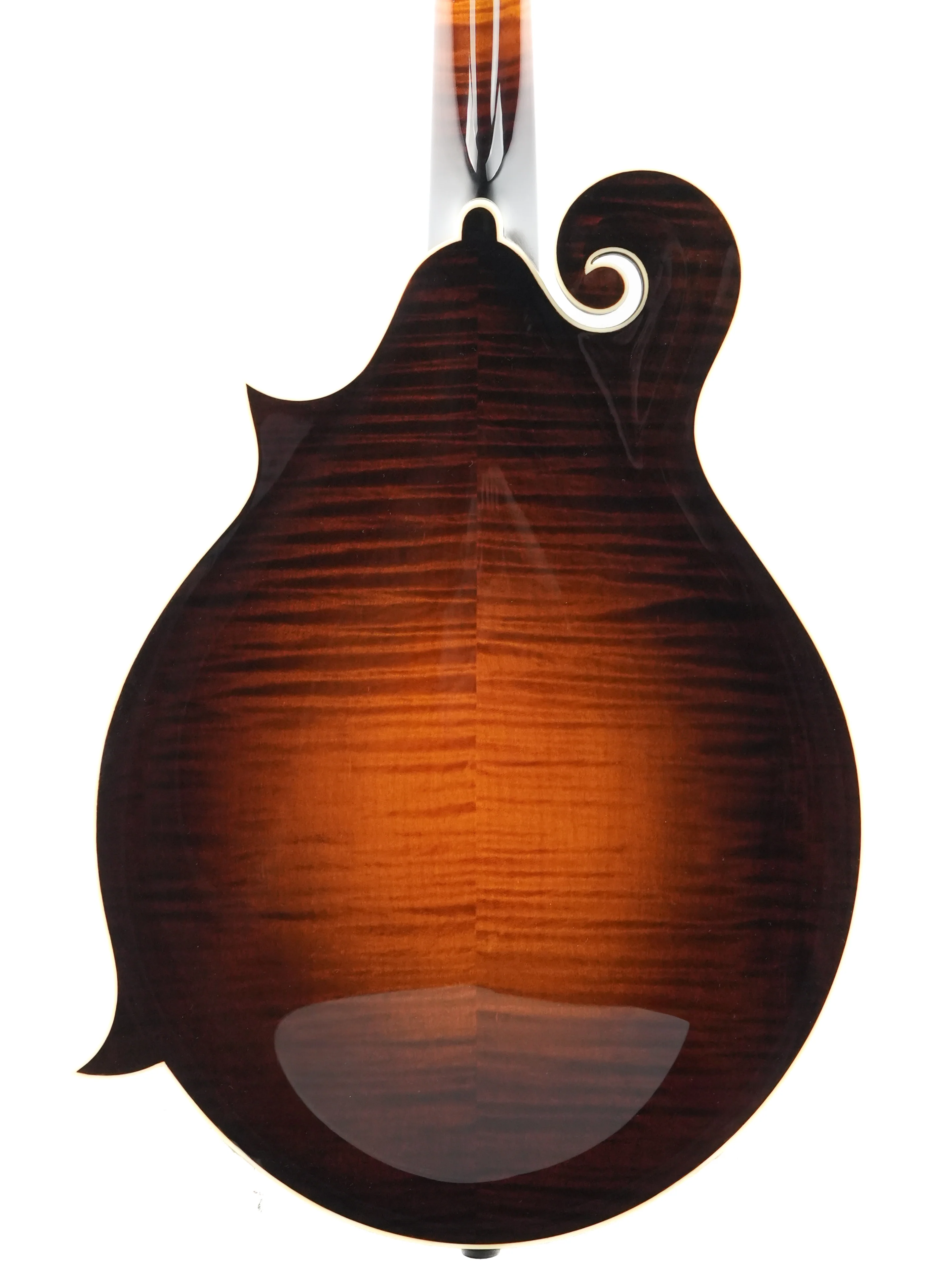 Collings MF5 F-Style Mandolin Sunburst - Image 8