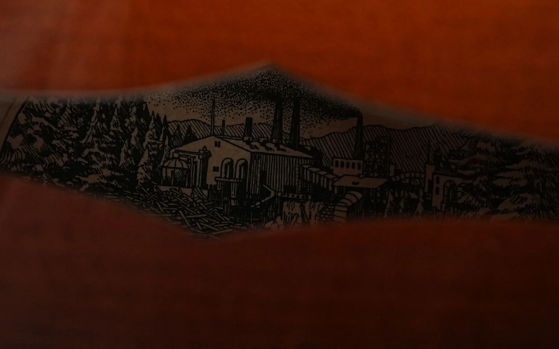 Collings MT2 Mandolin - Image 13
