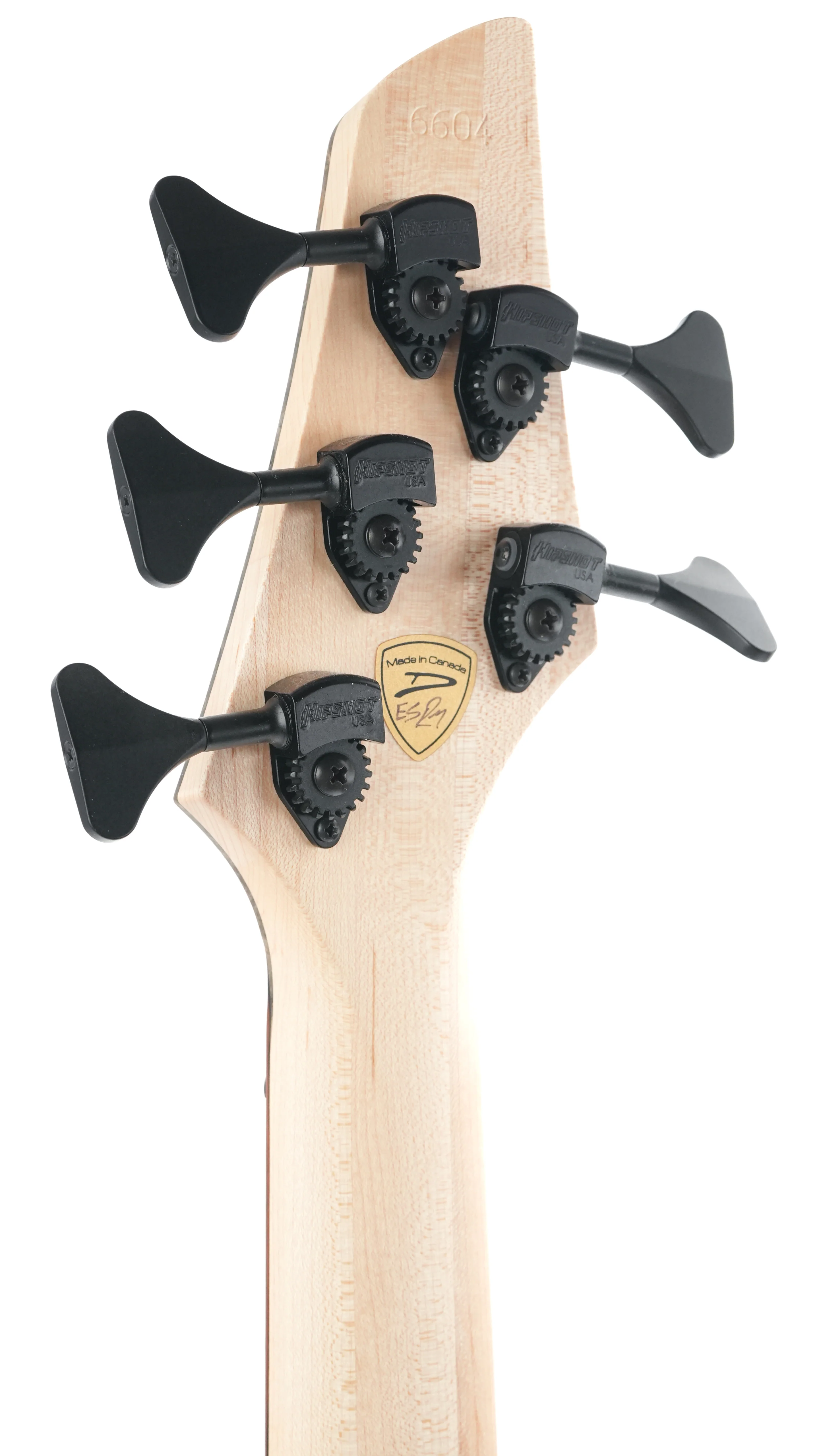 Dingwall Custom Shop Z3 5 String Buckeye Burl 2023 - Image 6