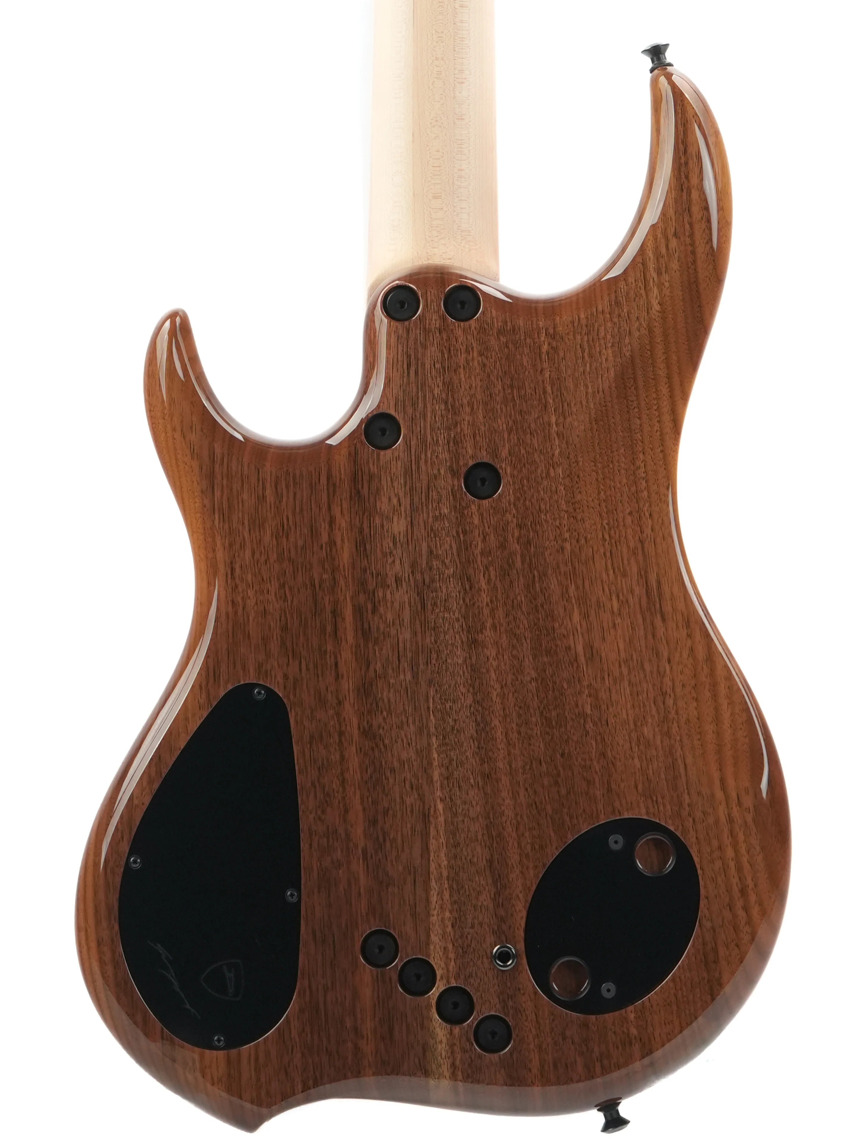 Dingwall Custom Shop Z3 5 String Buckeye Burl 2023 - Image 8