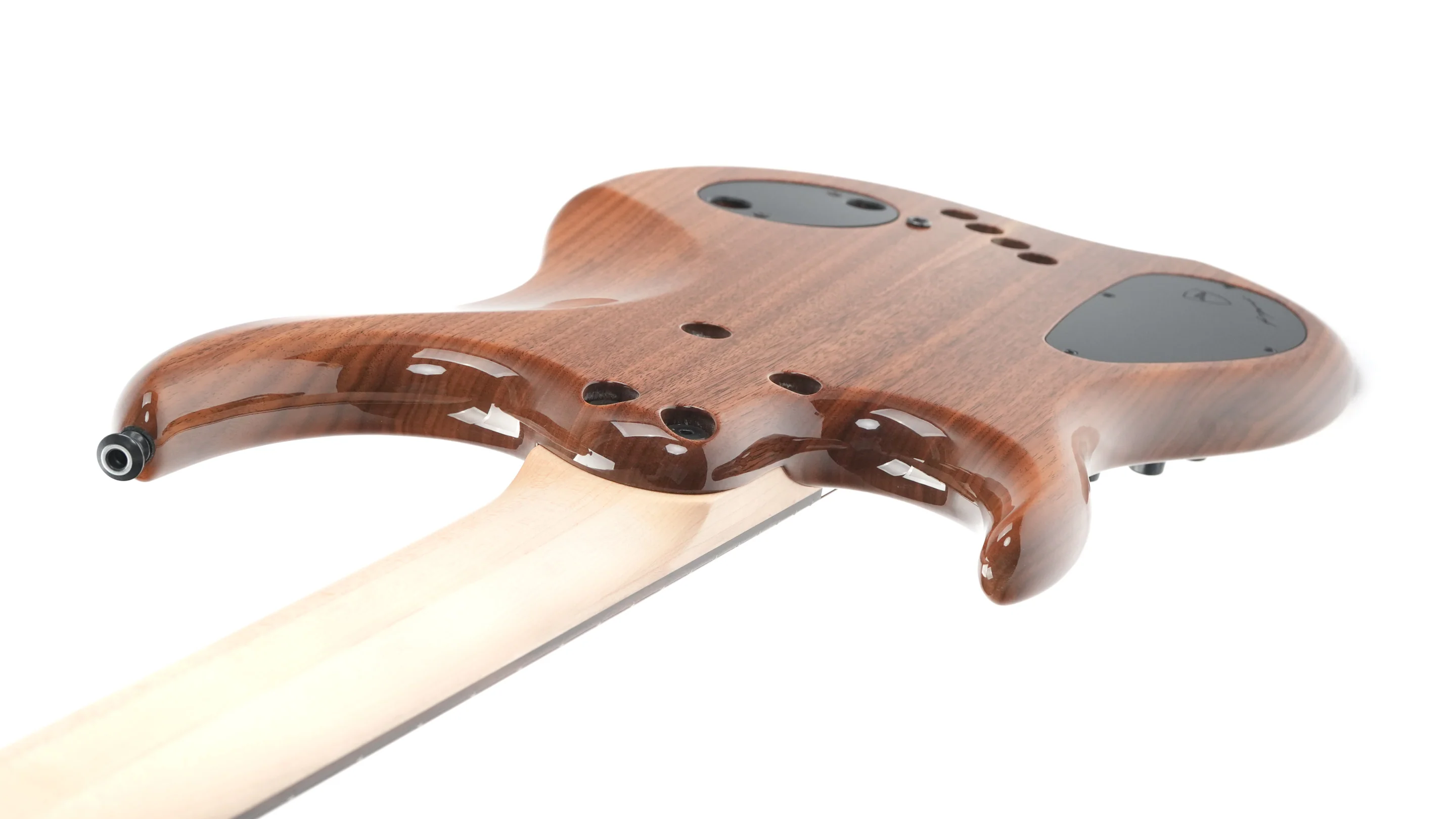 Dingwall Custom Shop Z3 5 String Buckeye Burl 2023 - Image 9