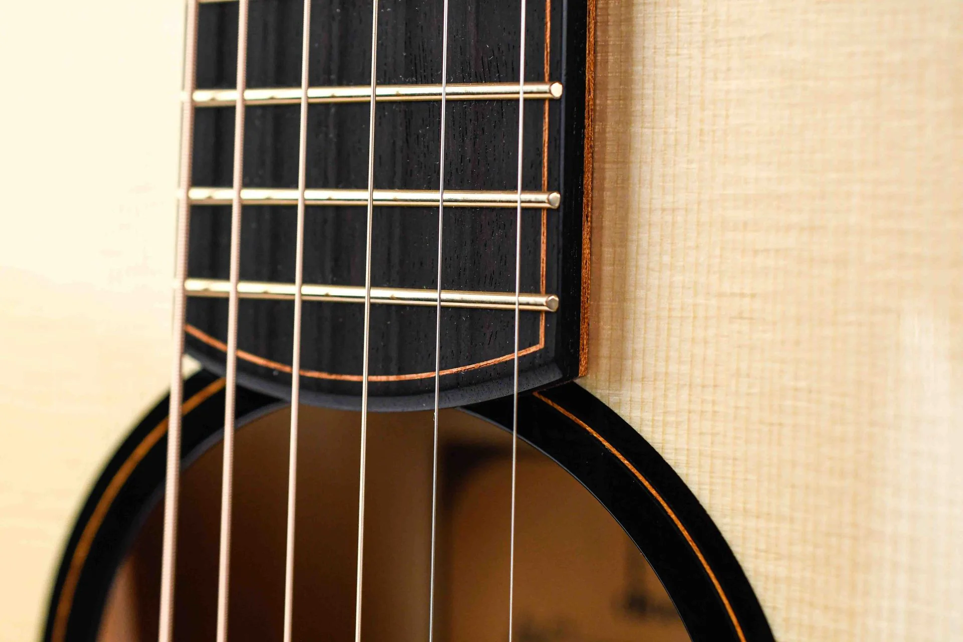 Dion Guitars No. 4 Italian Spruce Cocobolo - Image 11