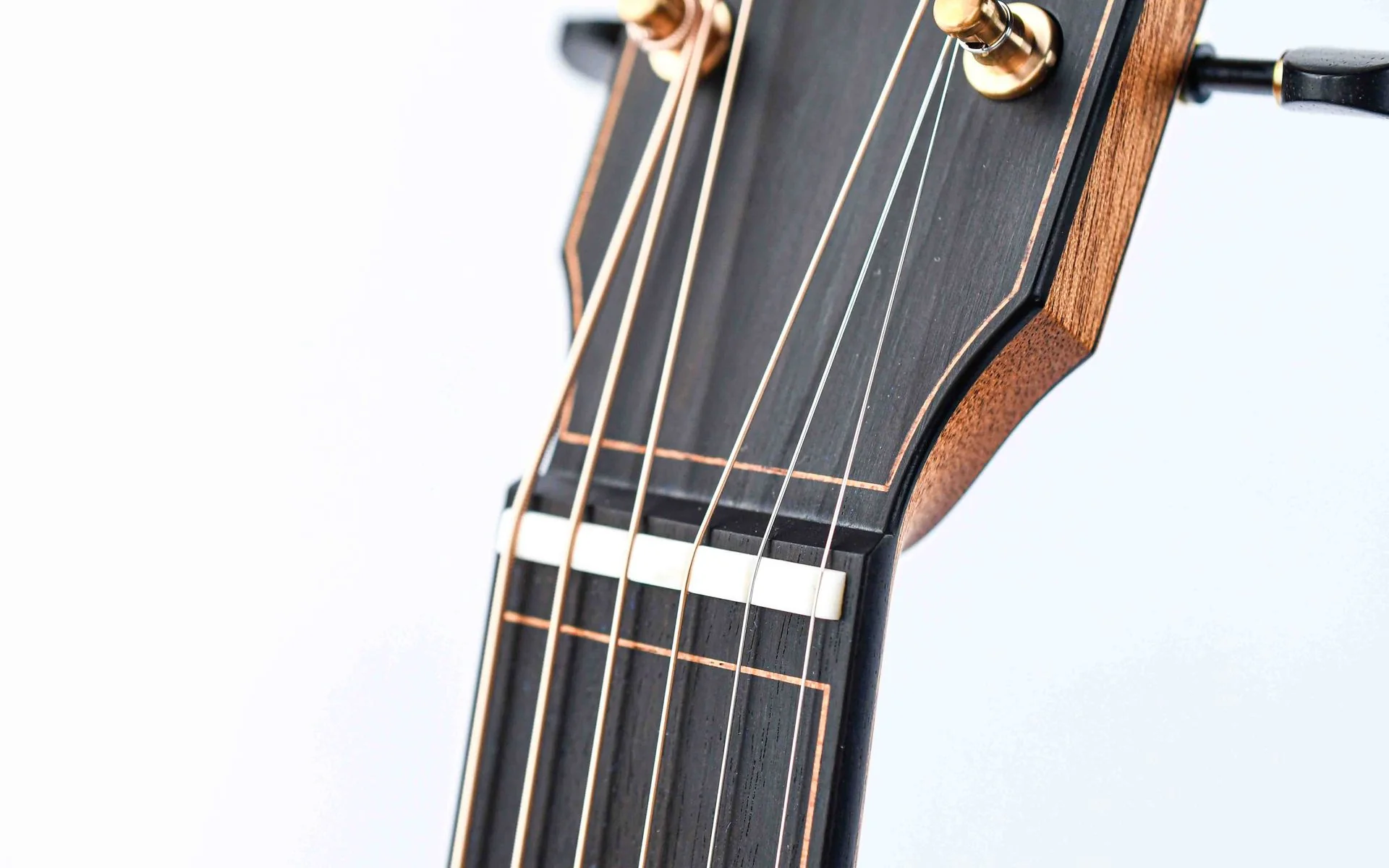 Dion Guitars No. 4 Italian Spruce Cocobolo - Image 12