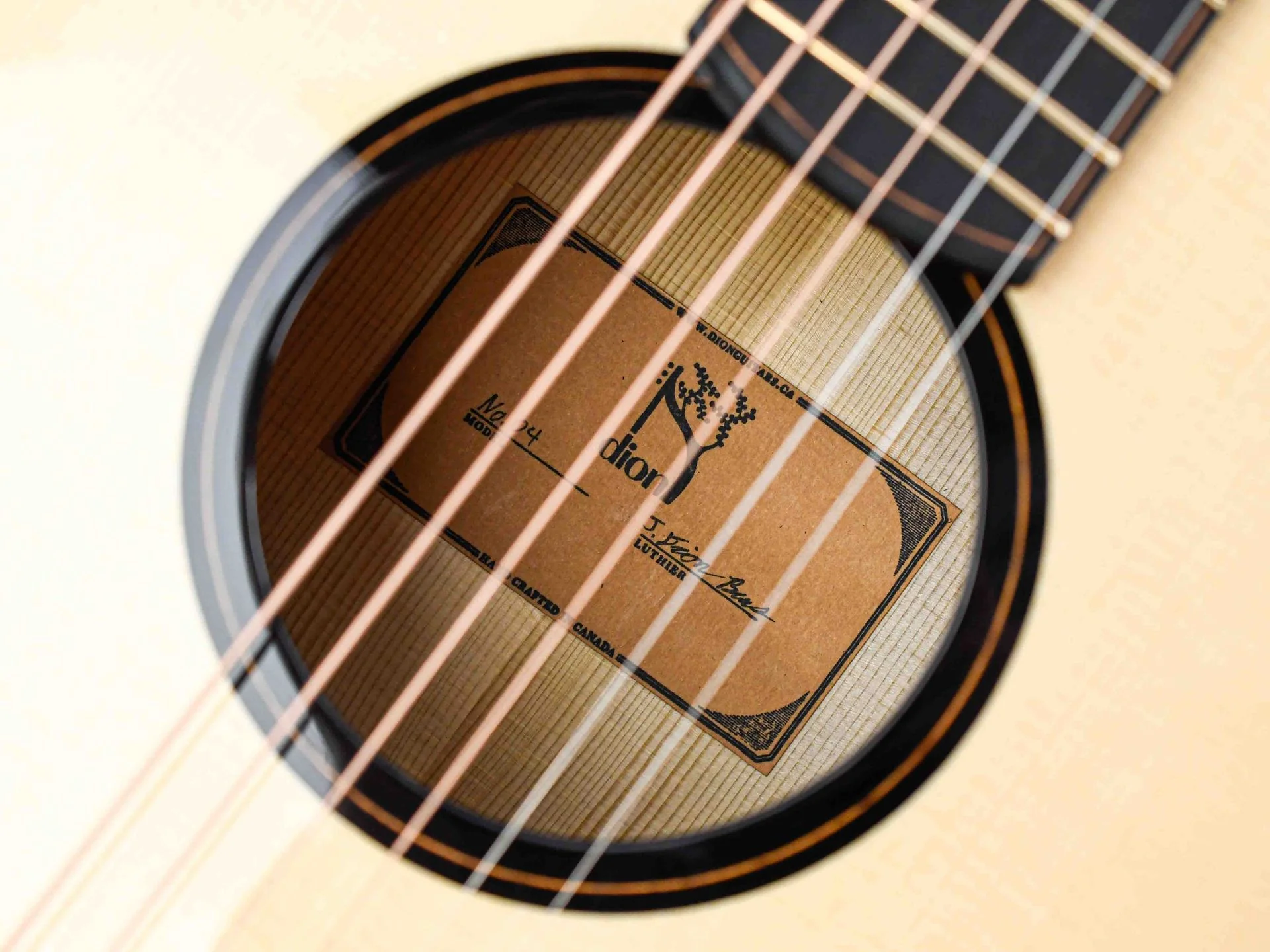 Dion Guitars No. 4 Italian Spruce Cocobolo - Image 13