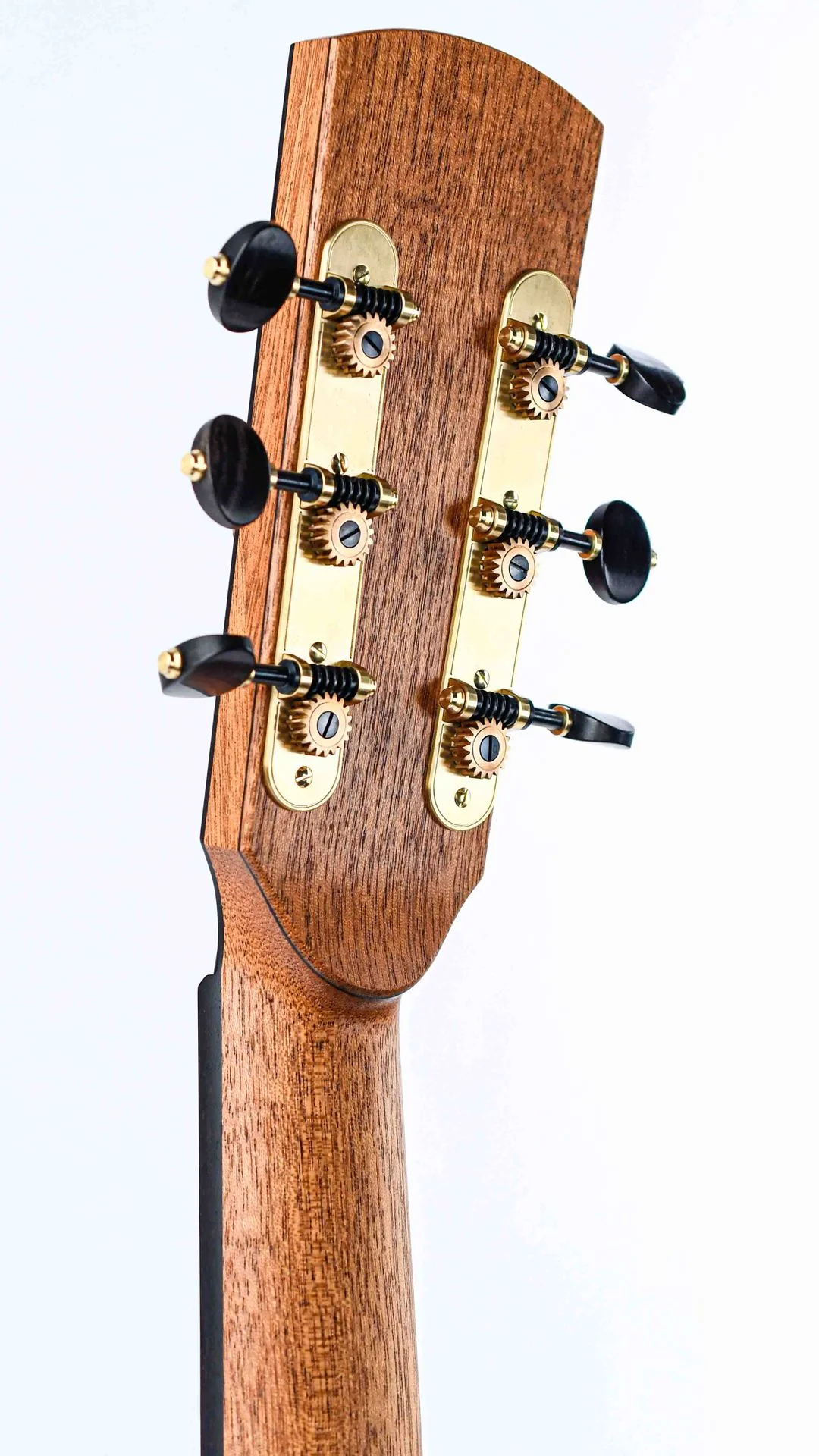 Dion Guitars No. 4 Italian Spruce Cocobolo - Image 6