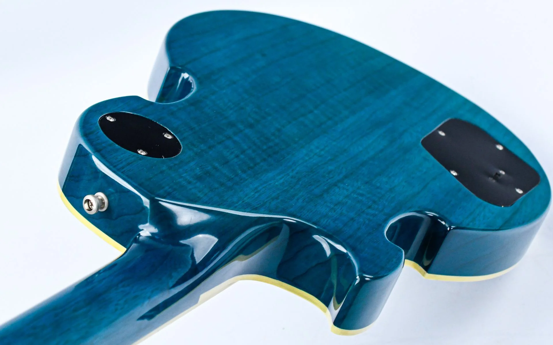 Dommenget Lizard Hybrid Blueburst 1998 - Image 9
