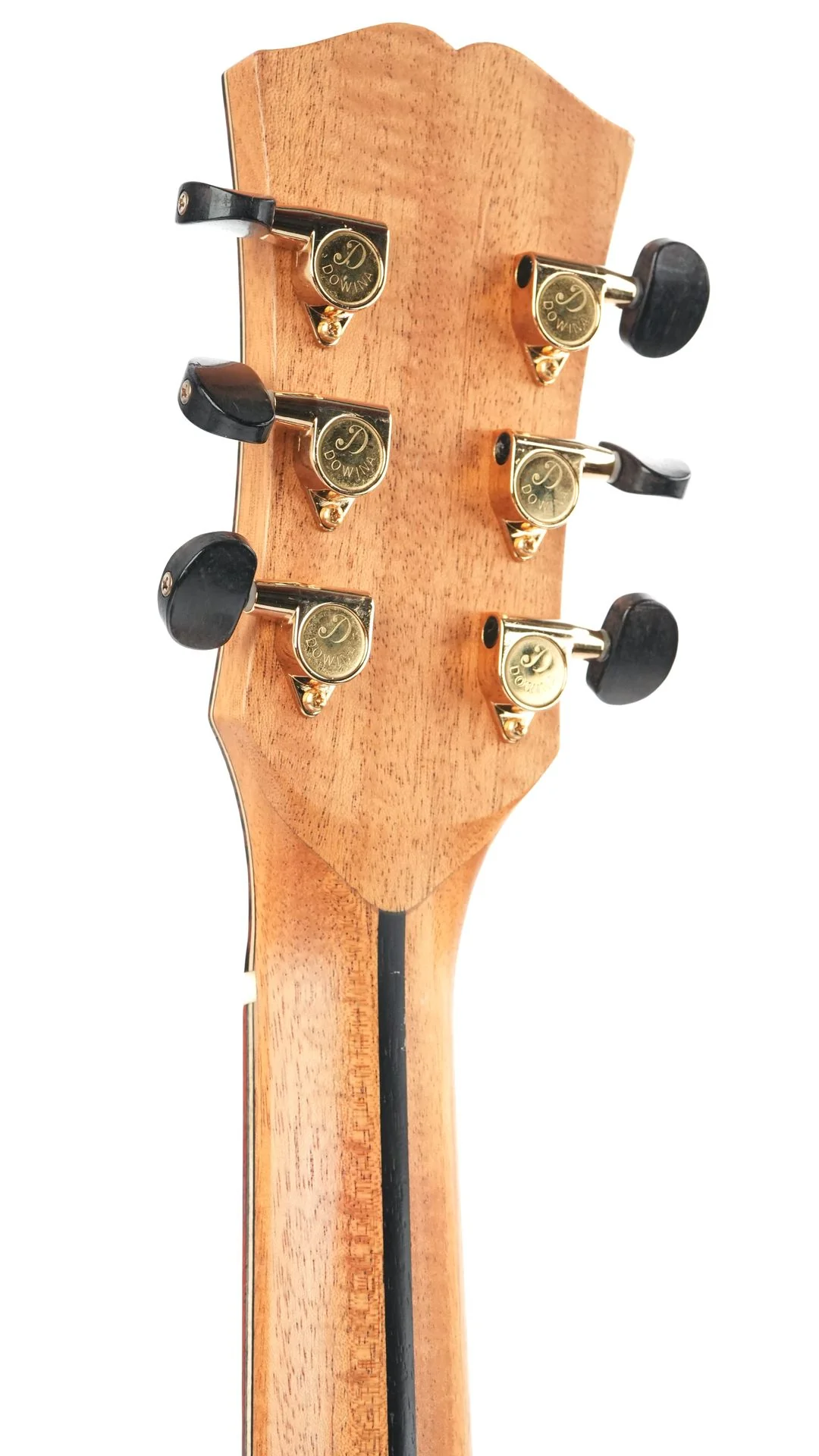 Dowina Master Series GAC Wenge Spruce 2017 - Image 6