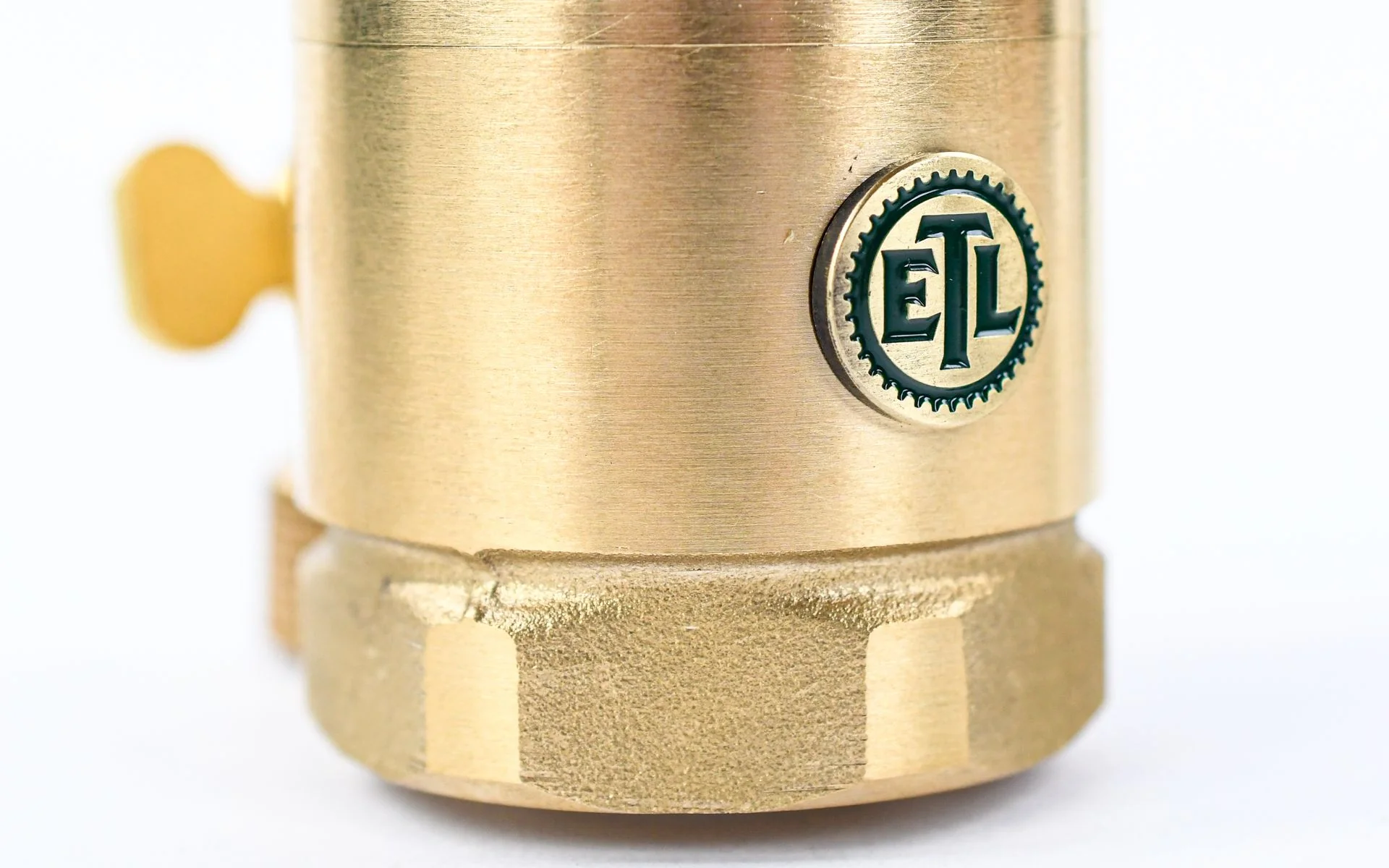 Ear Trumpet Wanda - Image 8