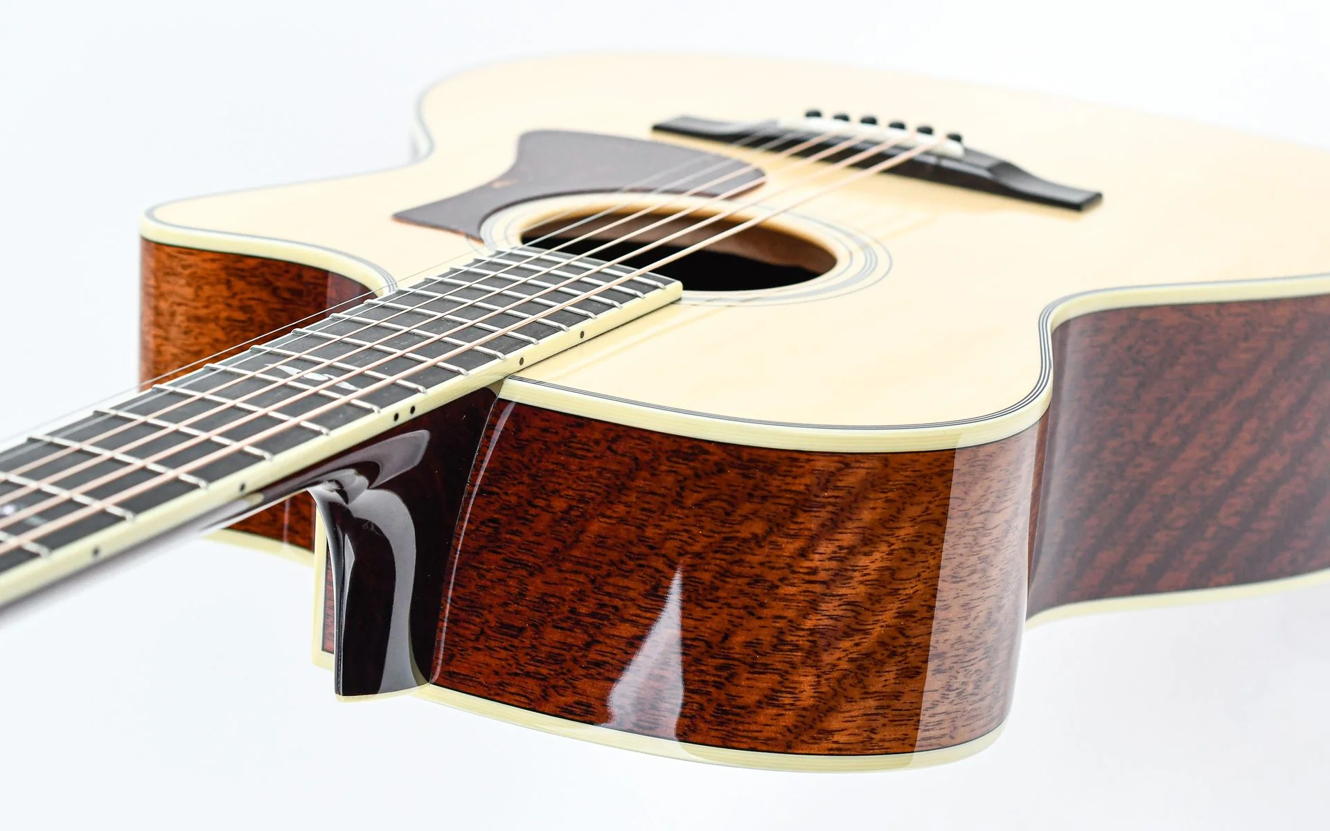 Eastman AC322CE - Image 10