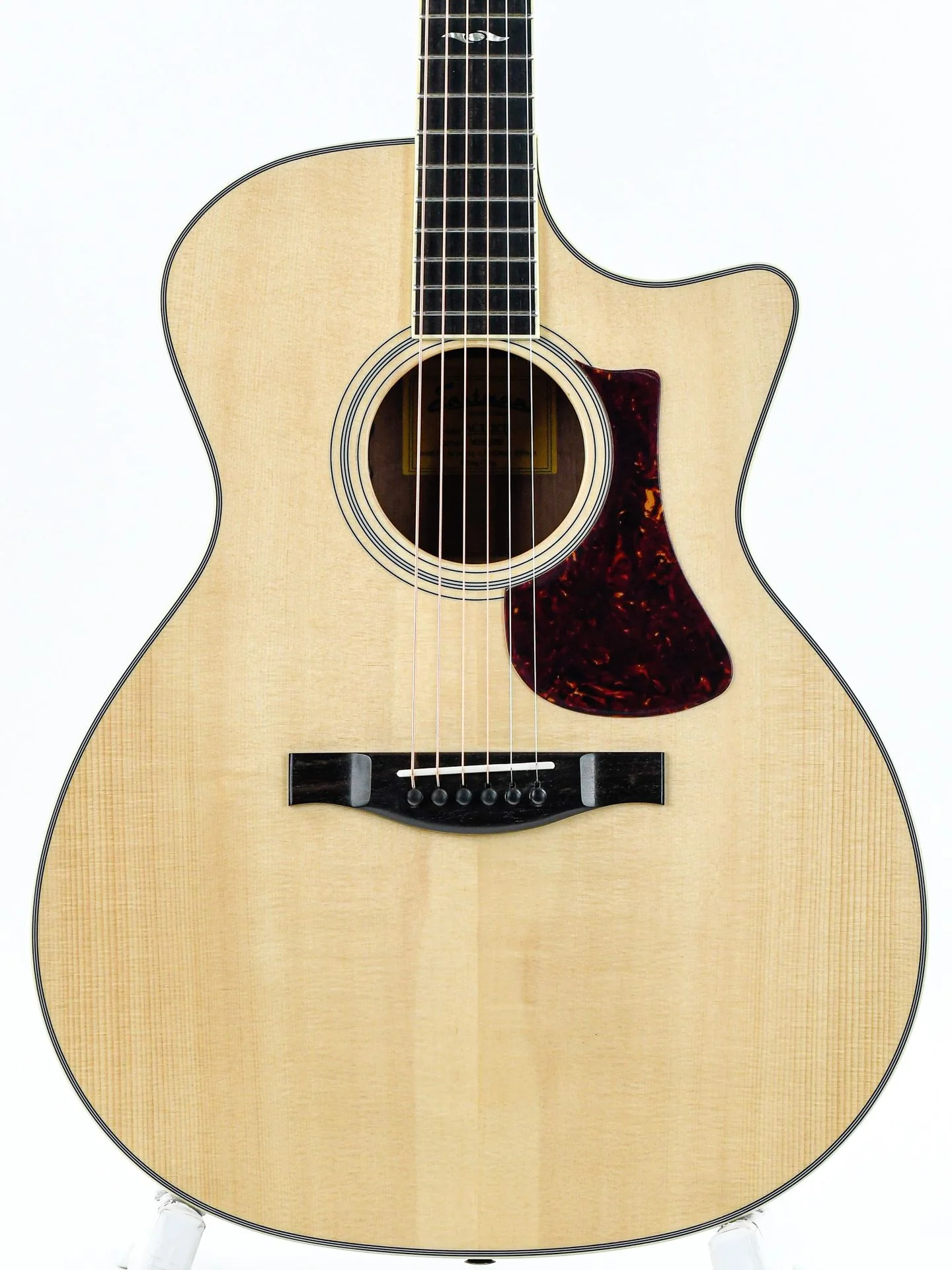 Eastman AC322CE - Image 5