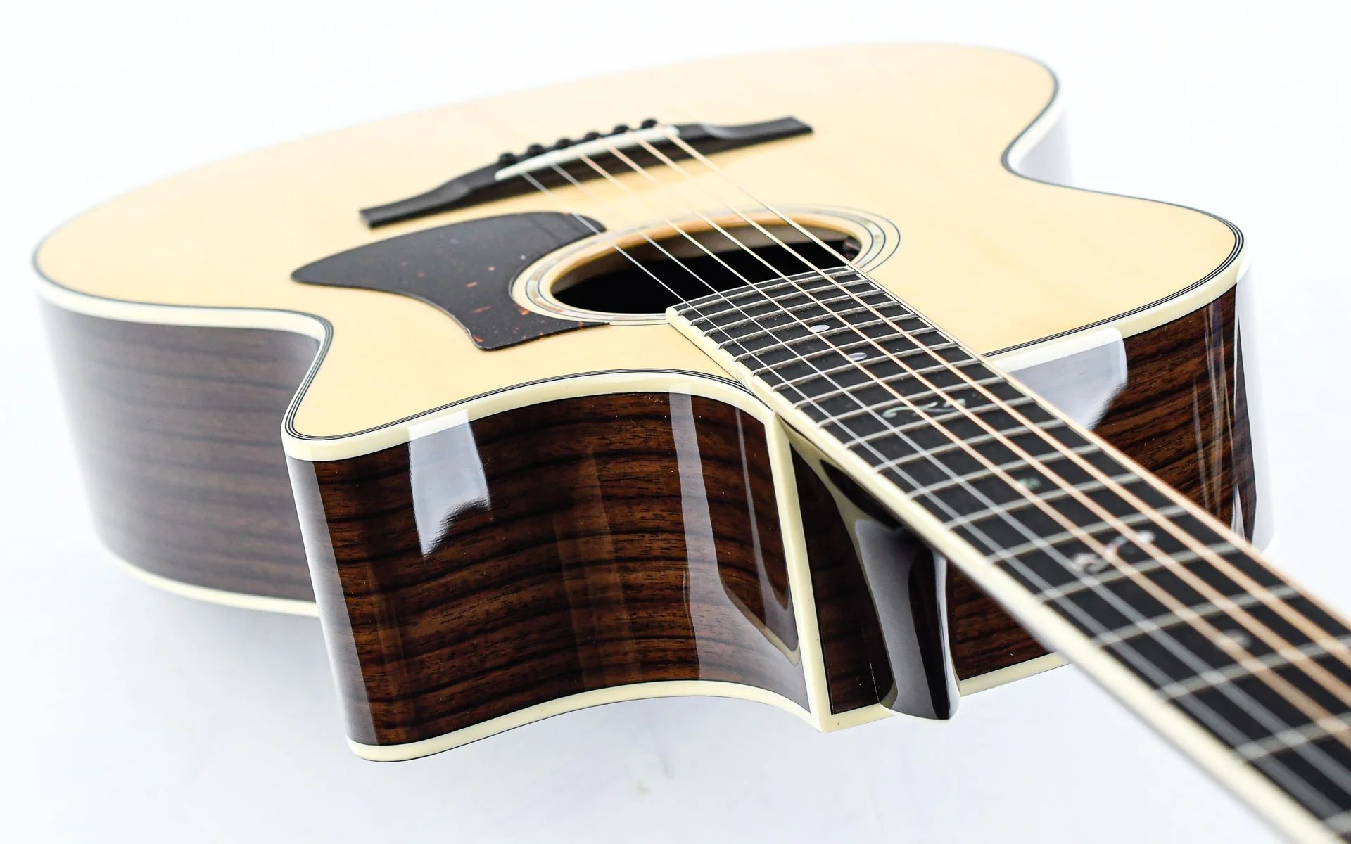 Eastman AC422CE - Image 10