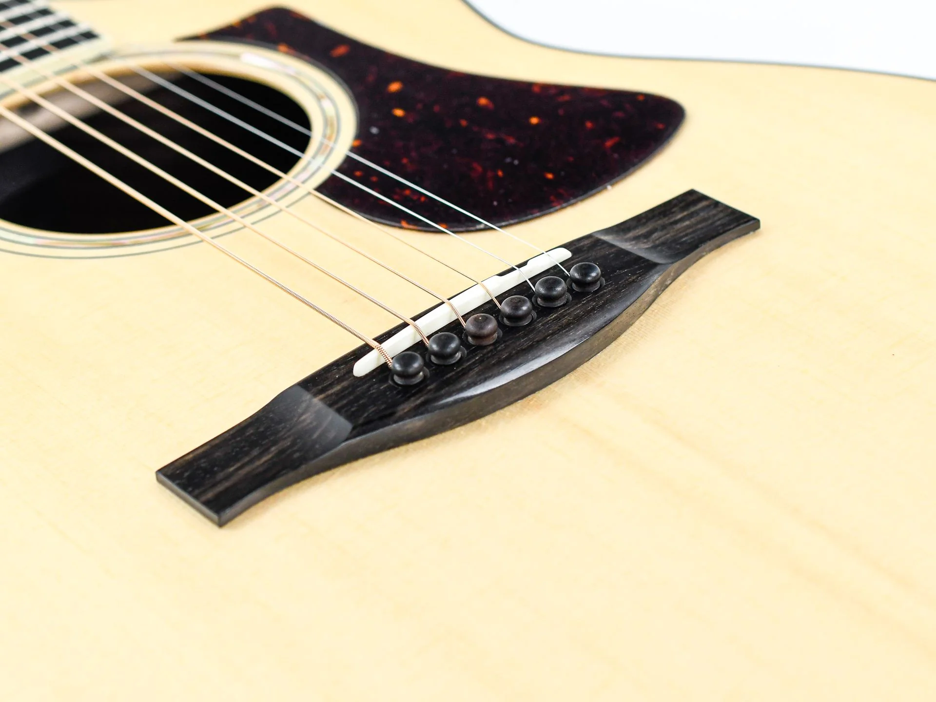 Eastman AC422CE - Image 7