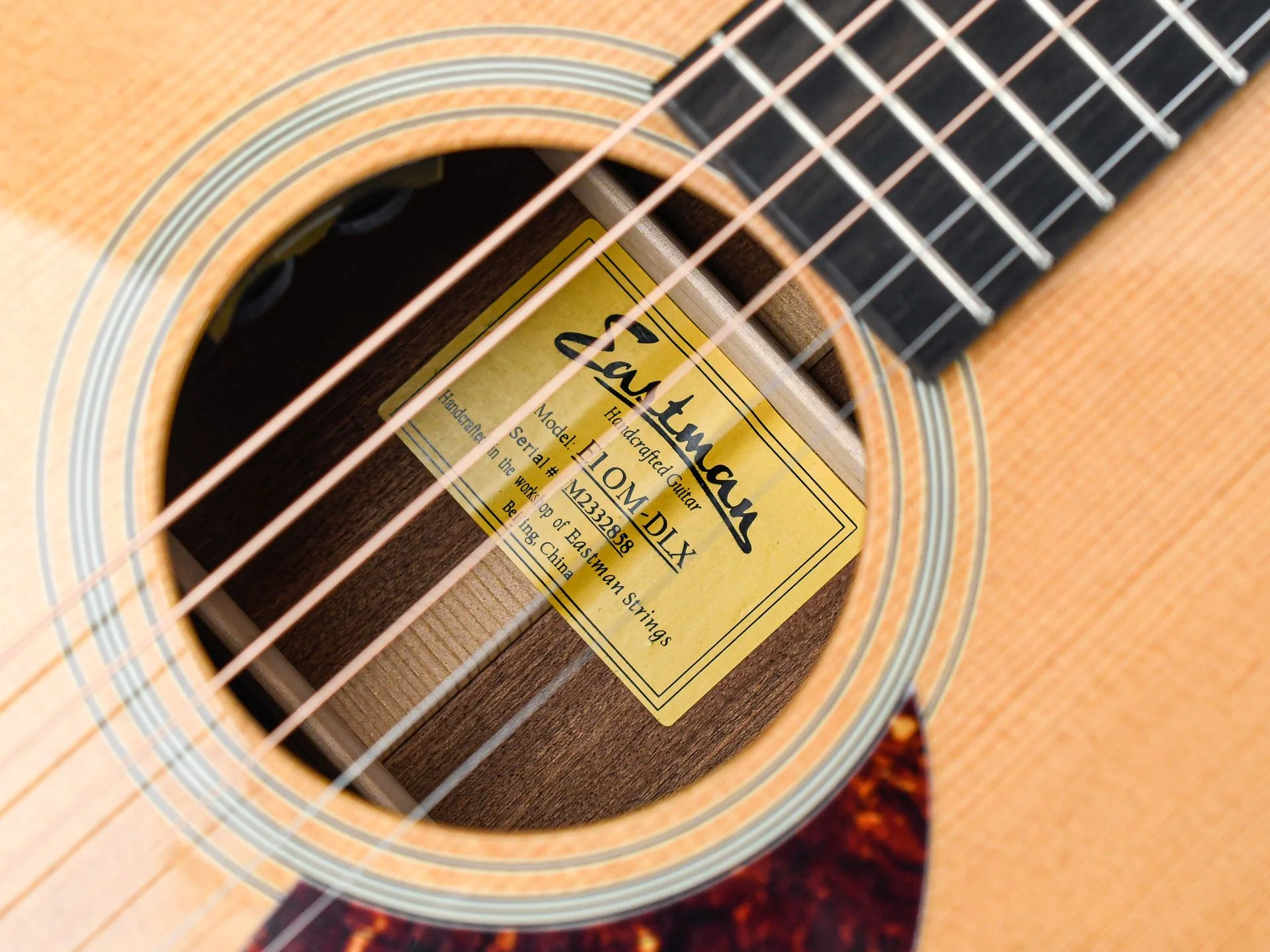 Eastman E1OM Deluxe - Image 11