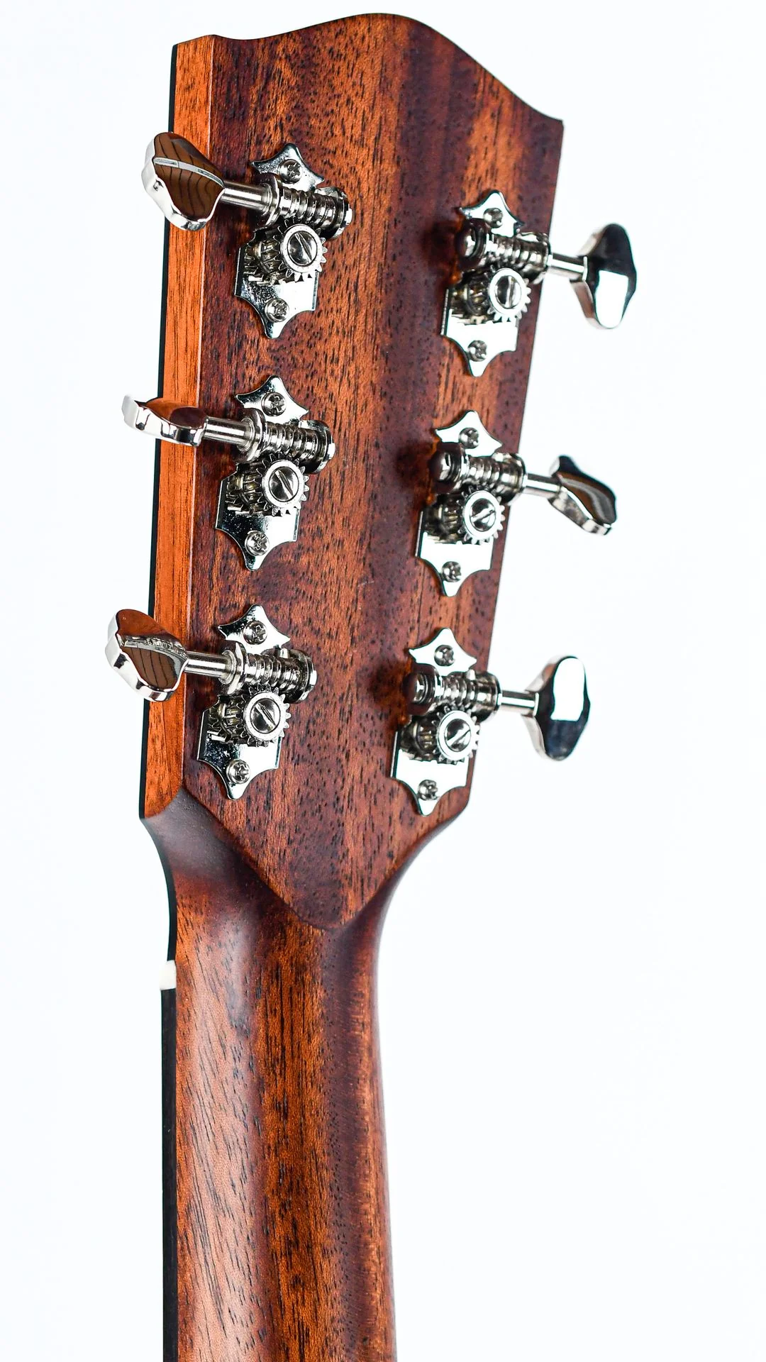 Eastman E1SS Sunburst - Image 6