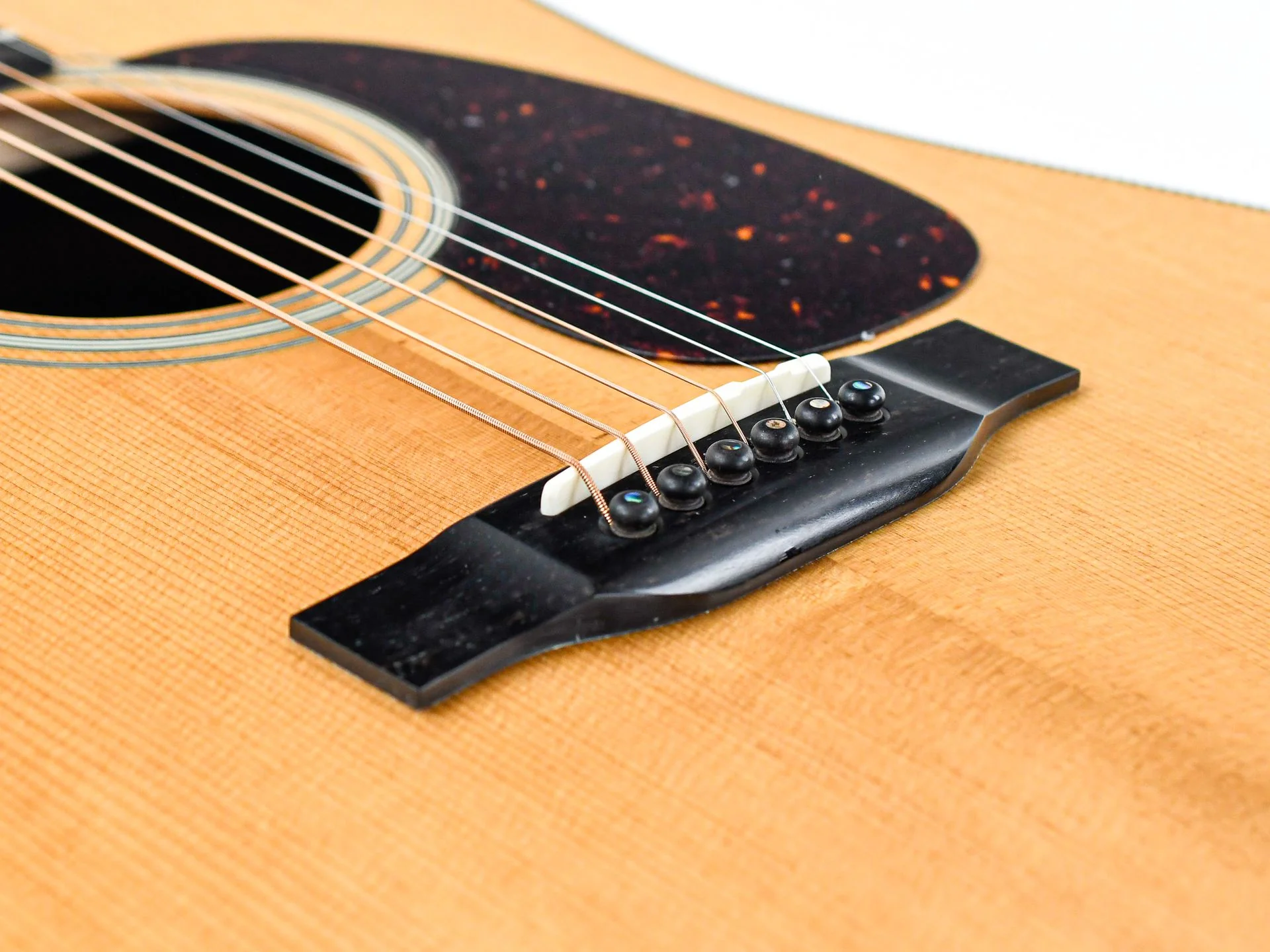 Eastman E20D TC Thermo Cured Adirondack - Image 7
