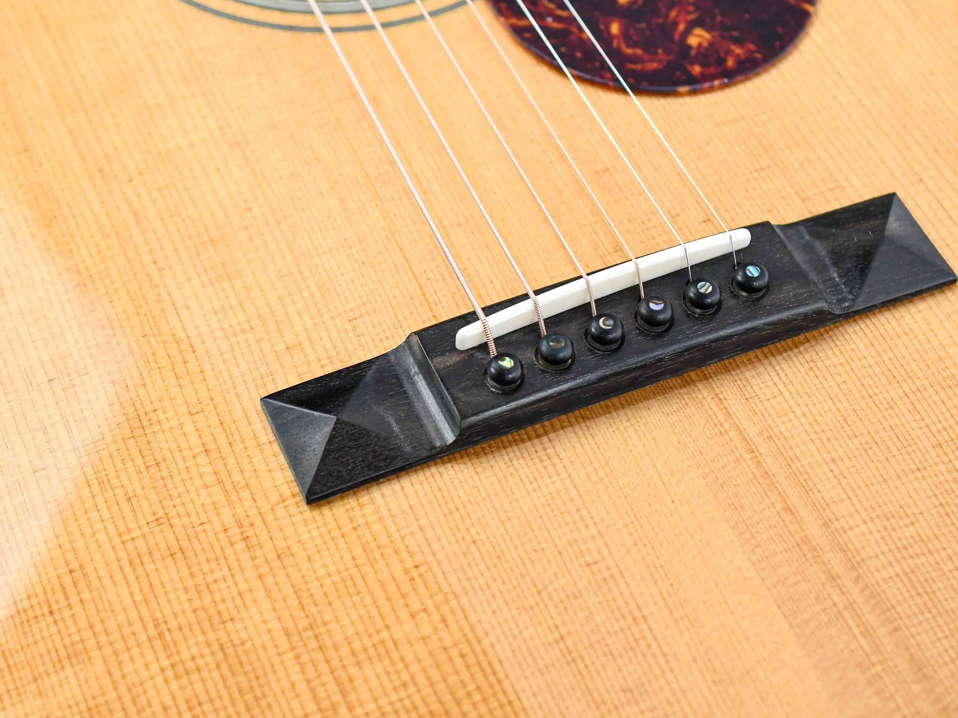 Eastman E20P Thermo Cured 12 Fret - Image 7
