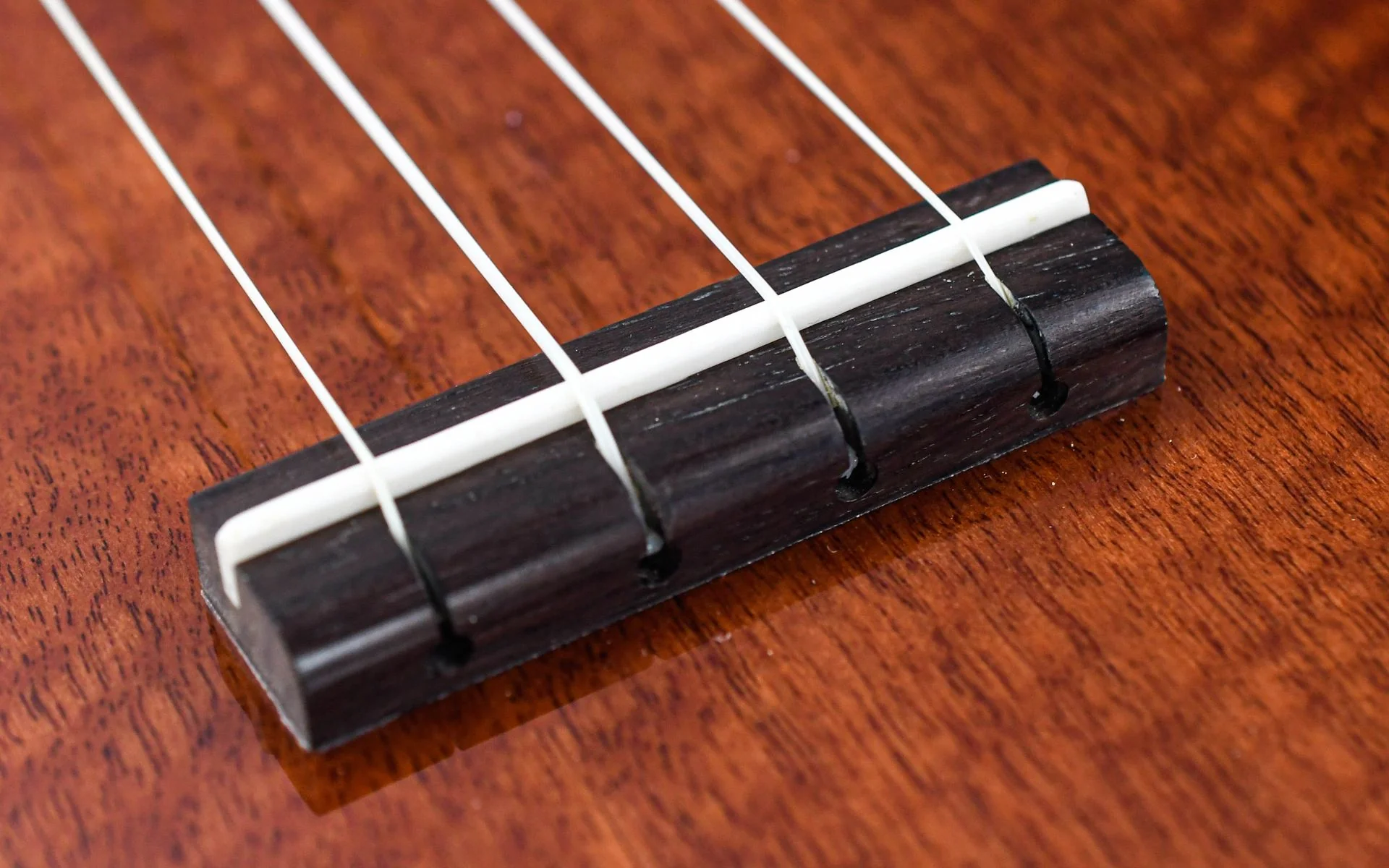 Eastman EU3C Concert Ukulele - Image 7