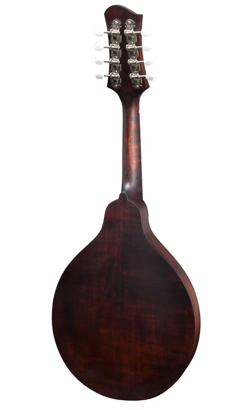 Eastman MD304 A-Style Oval Hole Mandolin - Image 10