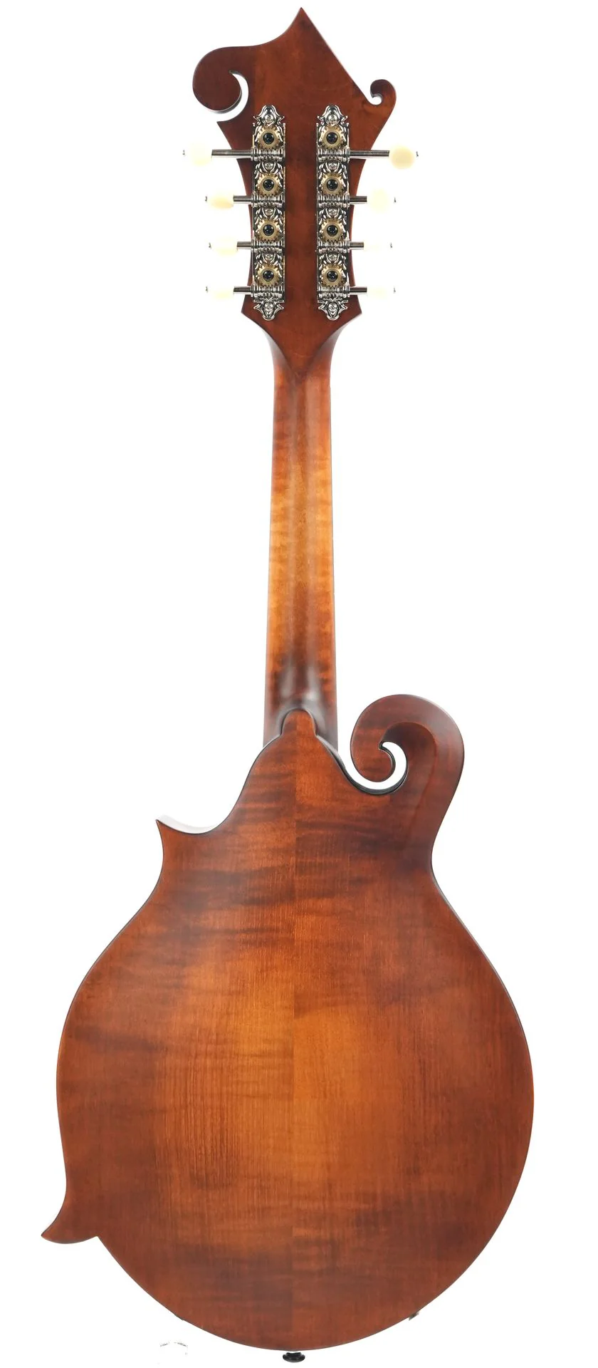 Eastman MD315 Adirondack Wide Nut Amberburst - Image 4