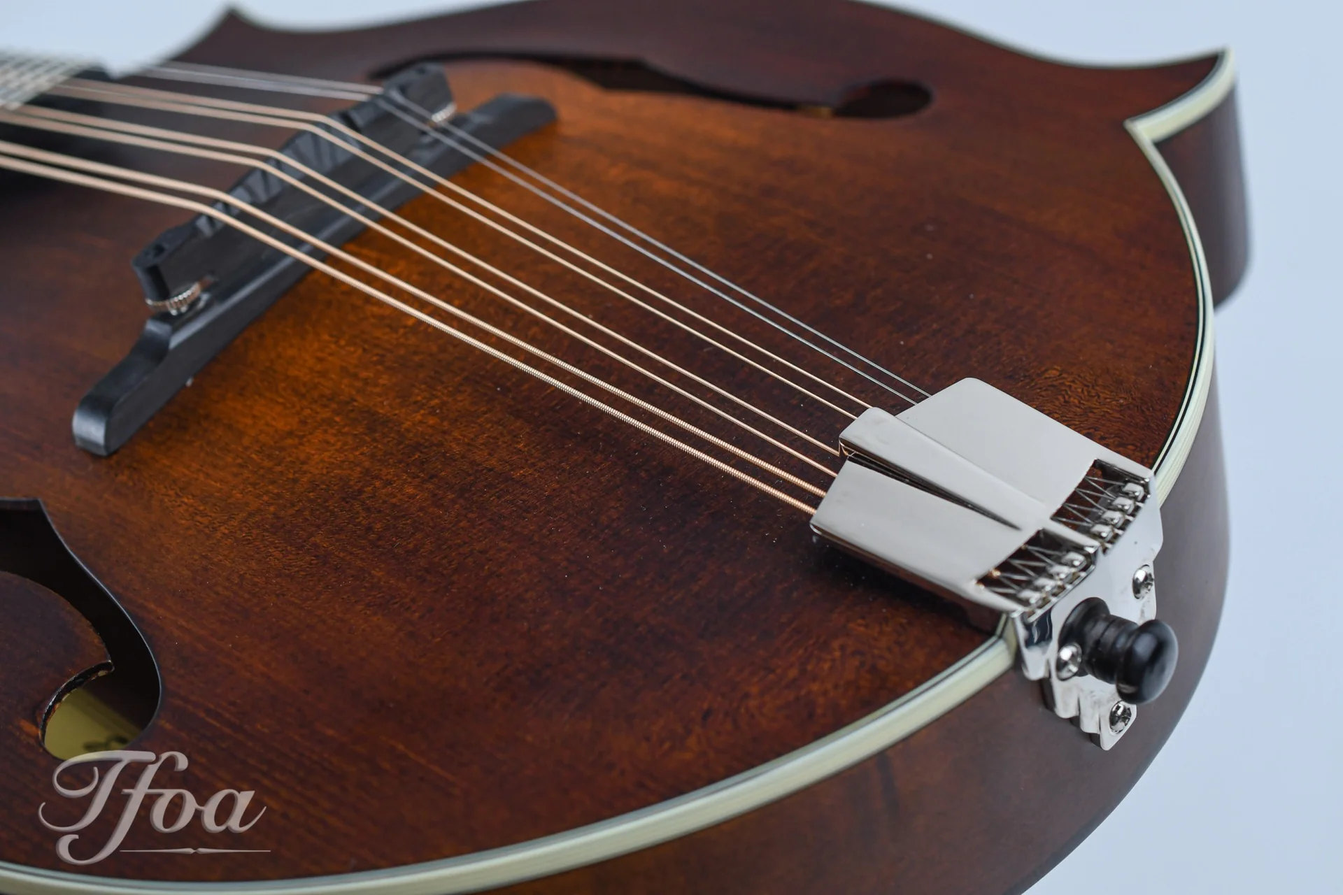 Eastman MDA315 F Mandola - Image 10