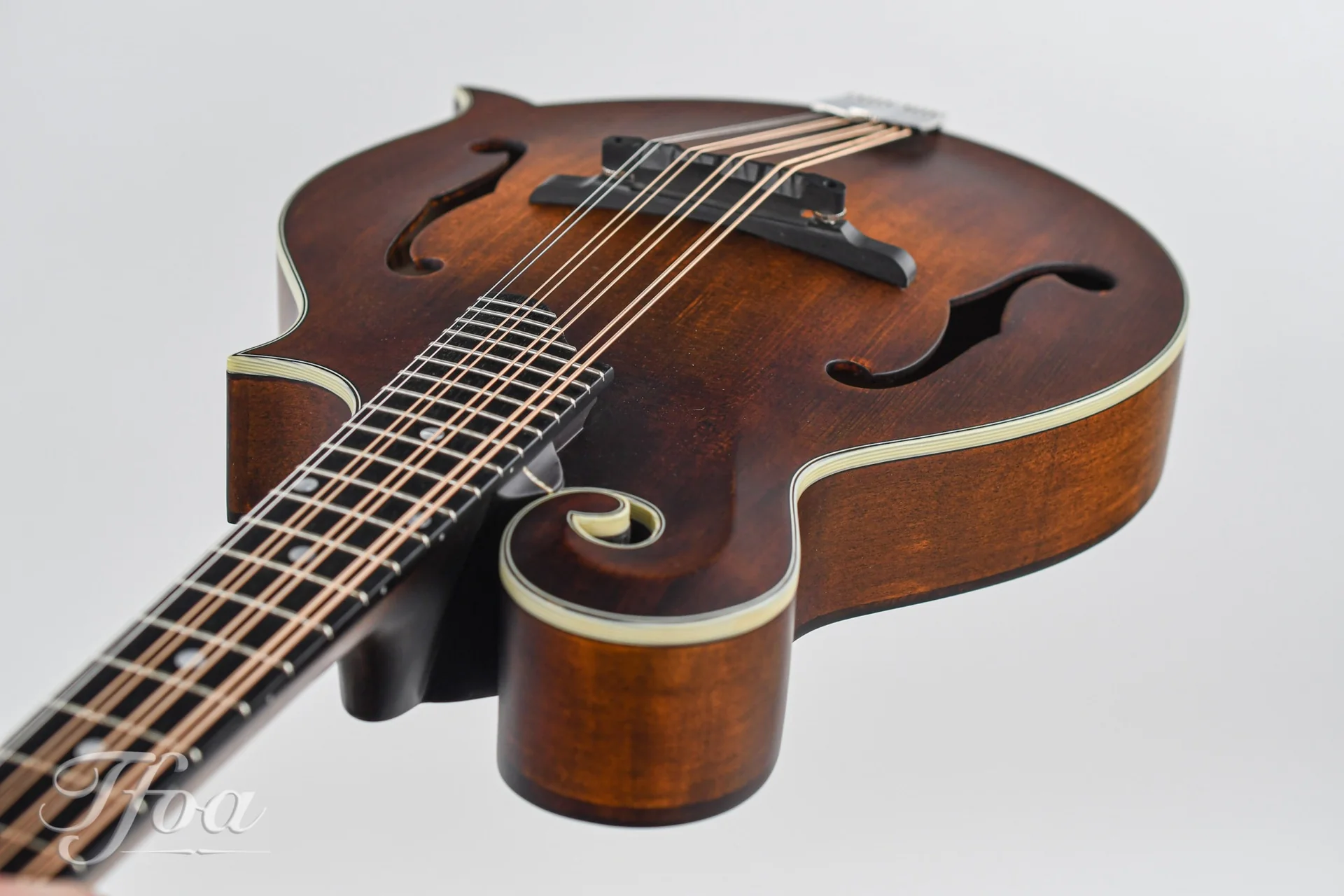 Eastman MDA315 F Mandola - Image 11