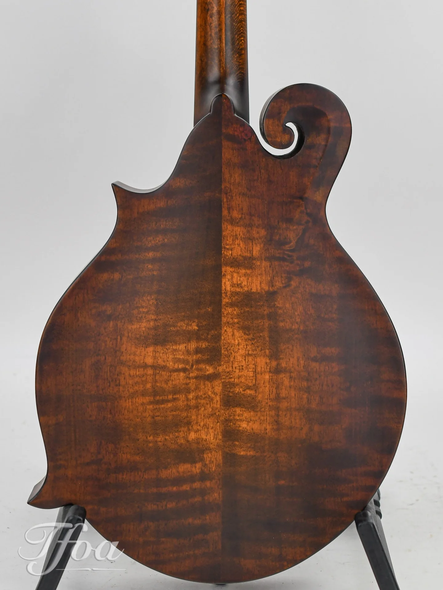 Eastman MDA315 F Mandola - Image 8