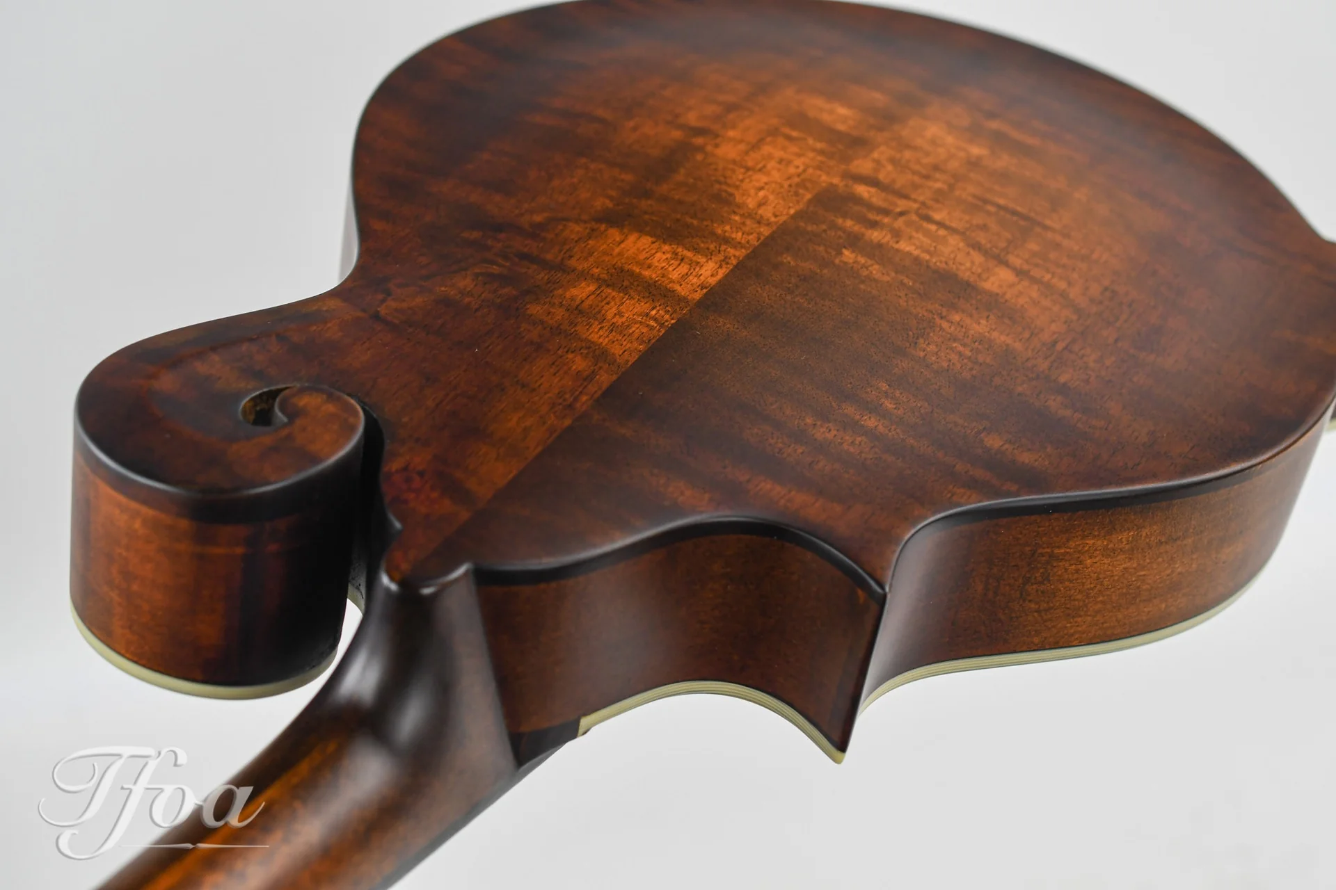 Eastman MDA315 F Mandola - Image 9