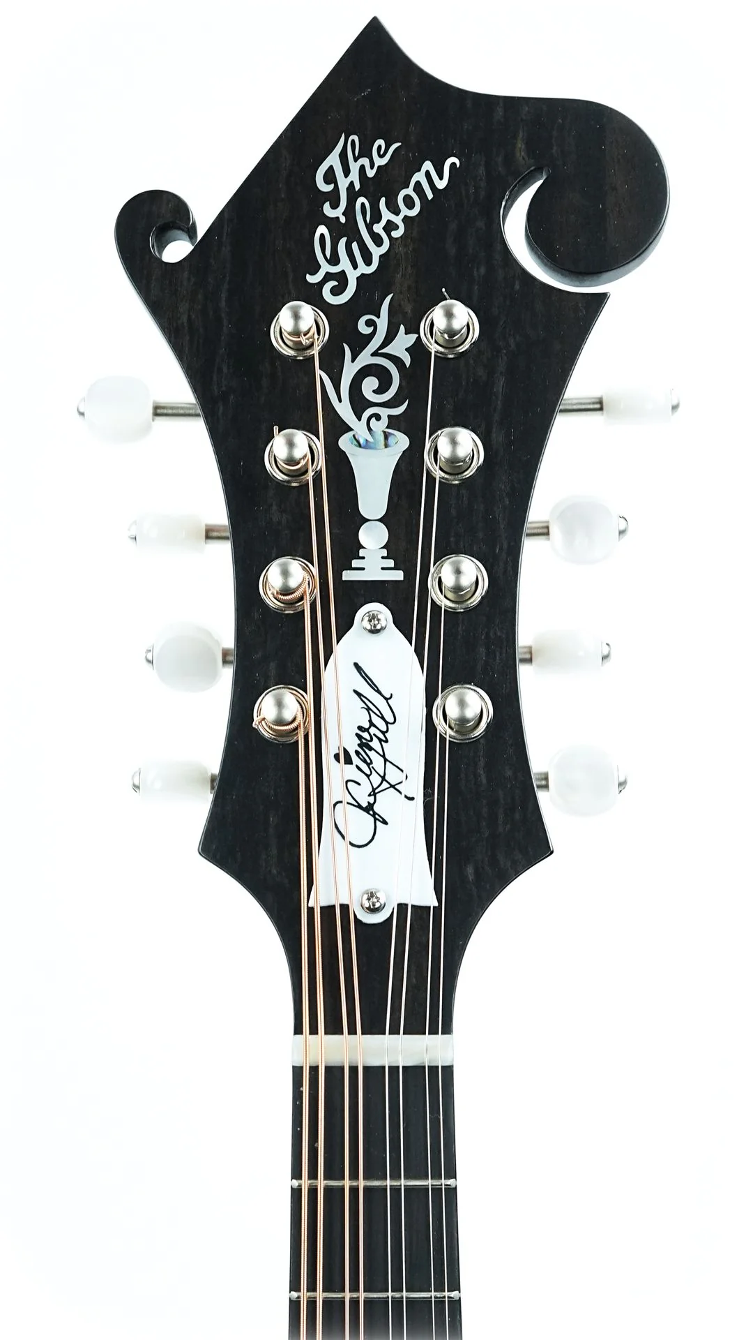 Gibson Sierra Hull F5G VOS Varnish - Image 2