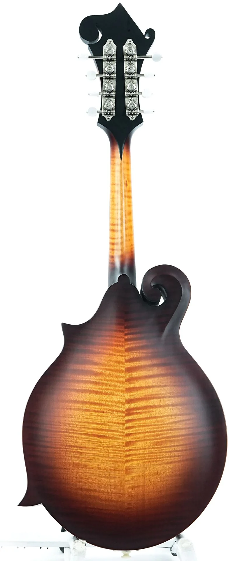 Gibson Sierra Hull F5G VOS Varnish - Image 4