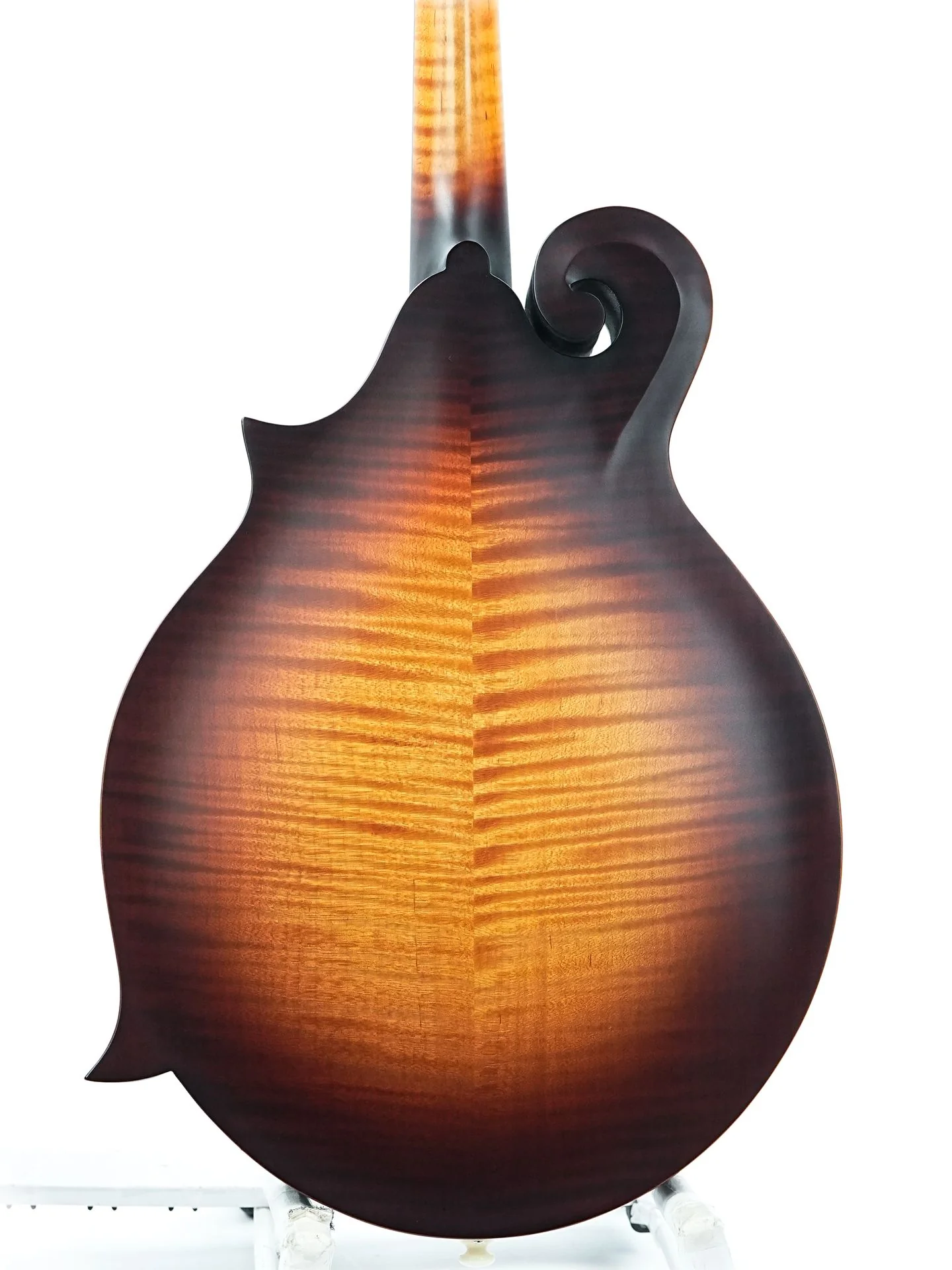 Gibson Sierra Hull F5G VOS Varnish - Image 8