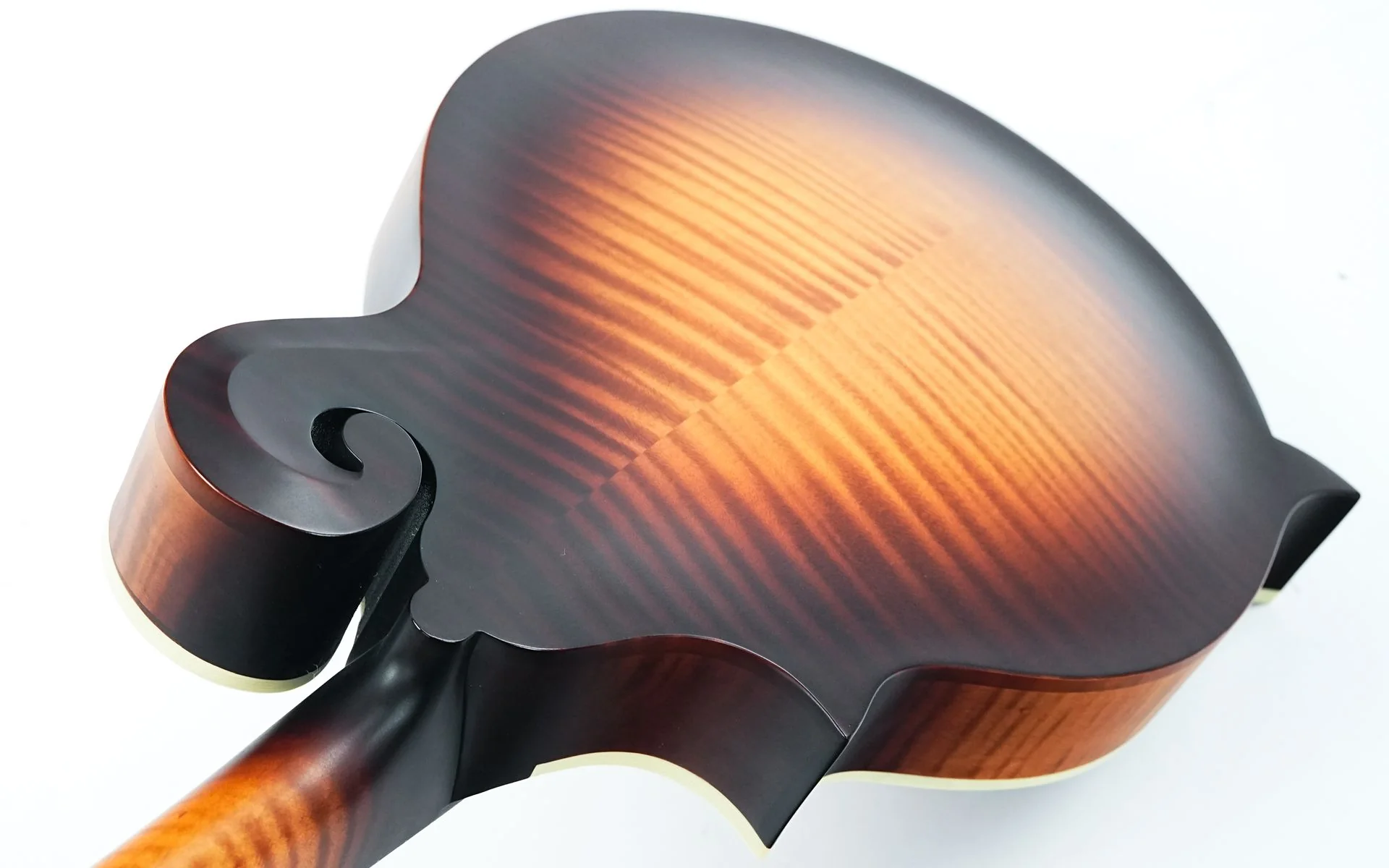 Gibson Sierra Hull F5G VOS Varnish - Image 9
