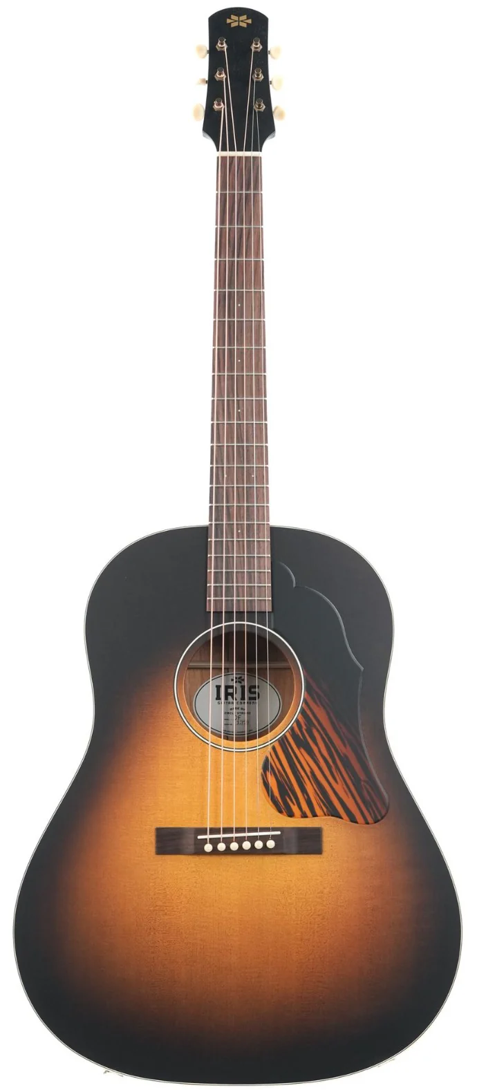 Iris DF Model Sunburst