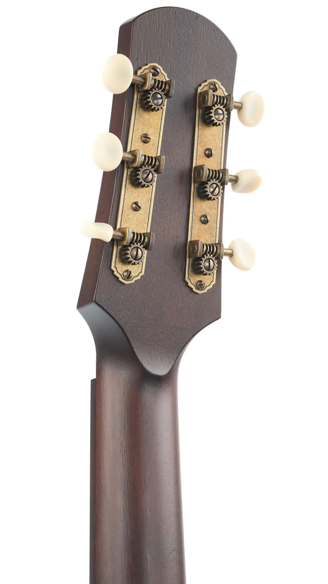 Iris DF Model Sunburst - Image 6